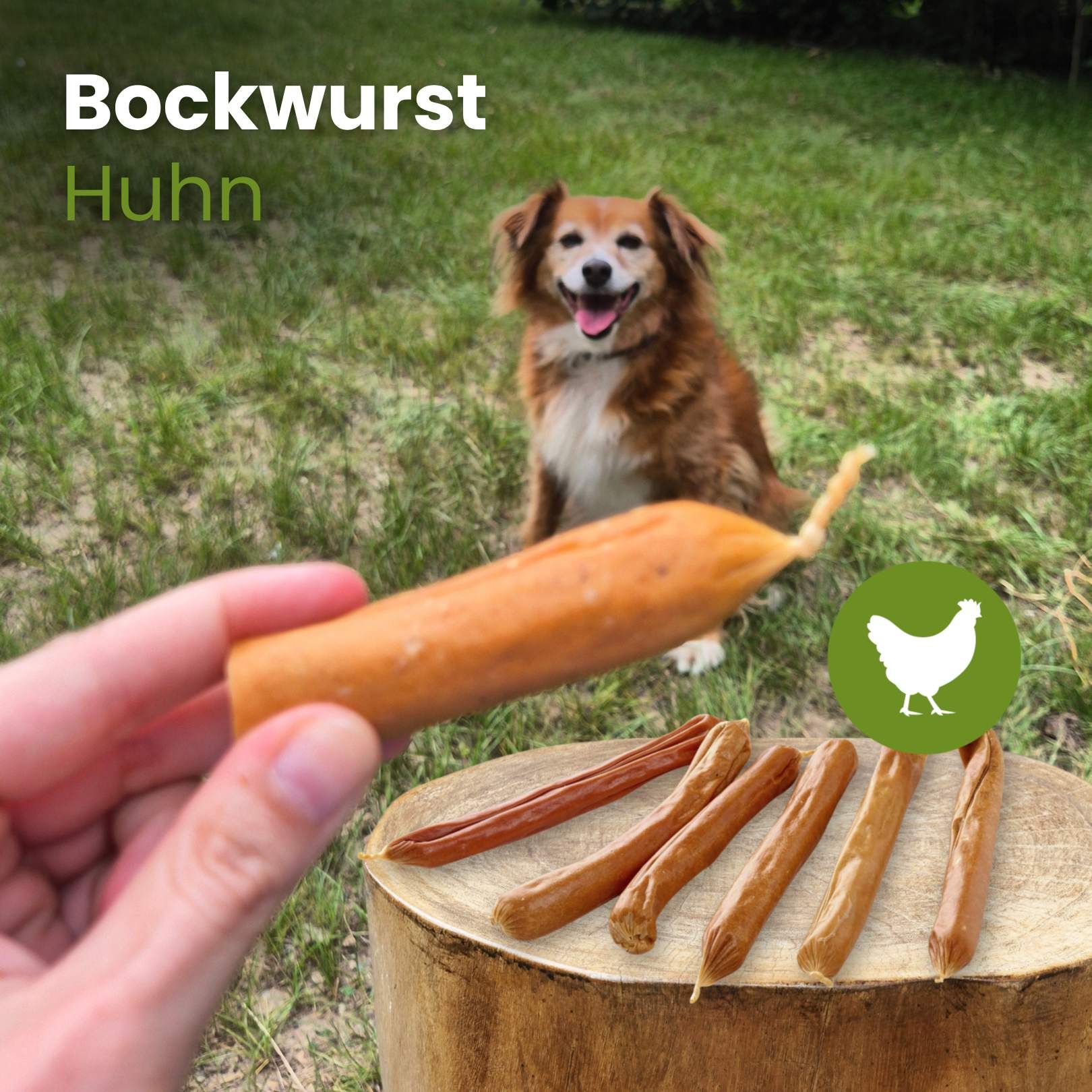 Hundekauartikel: Rinder-Schulterblatt, 100% Rind, hoher Proteingehalt.