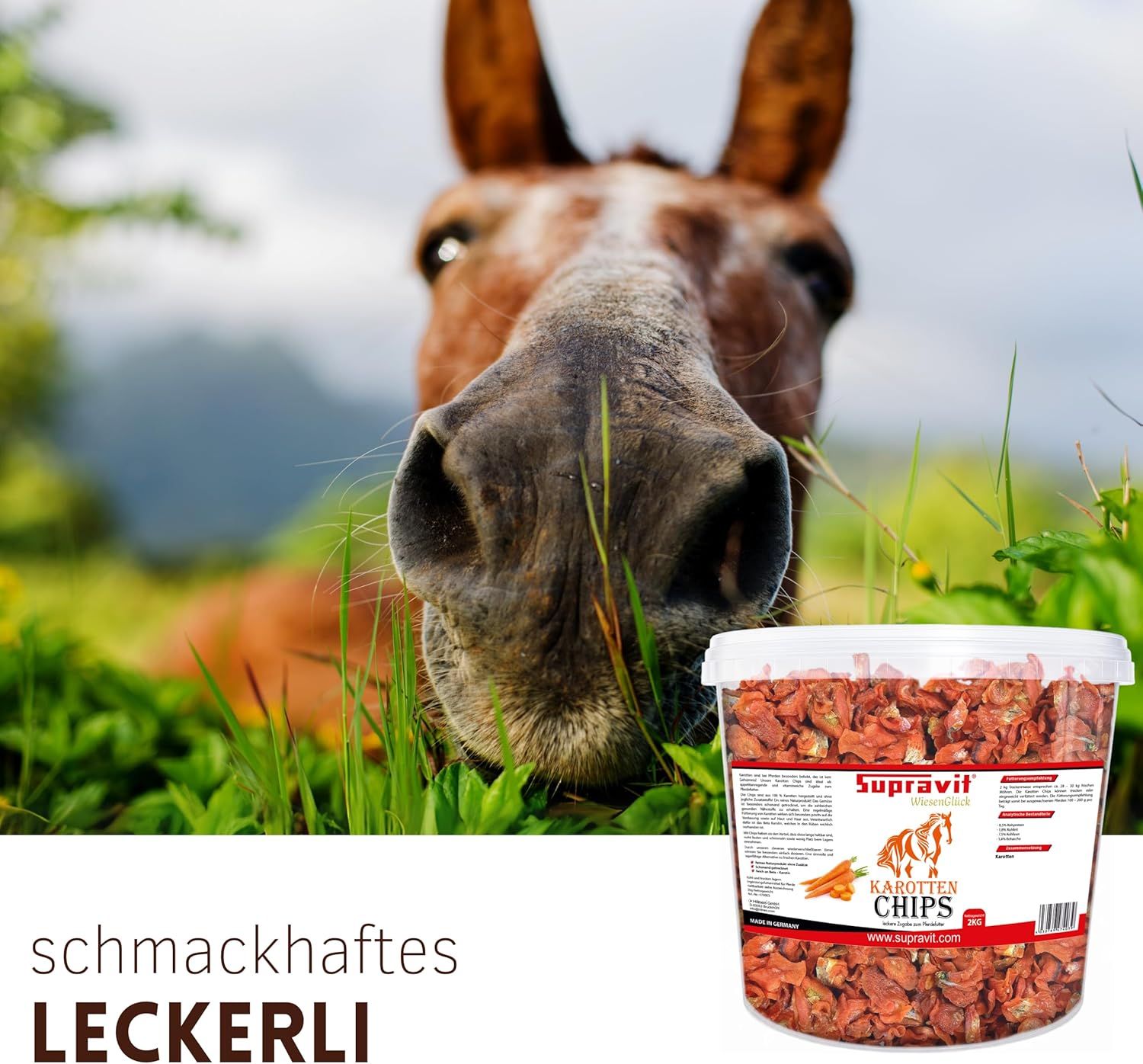 Pferdekopf mit Karottenchips-Eimer. Text: Schmackhaftes Leckerli.