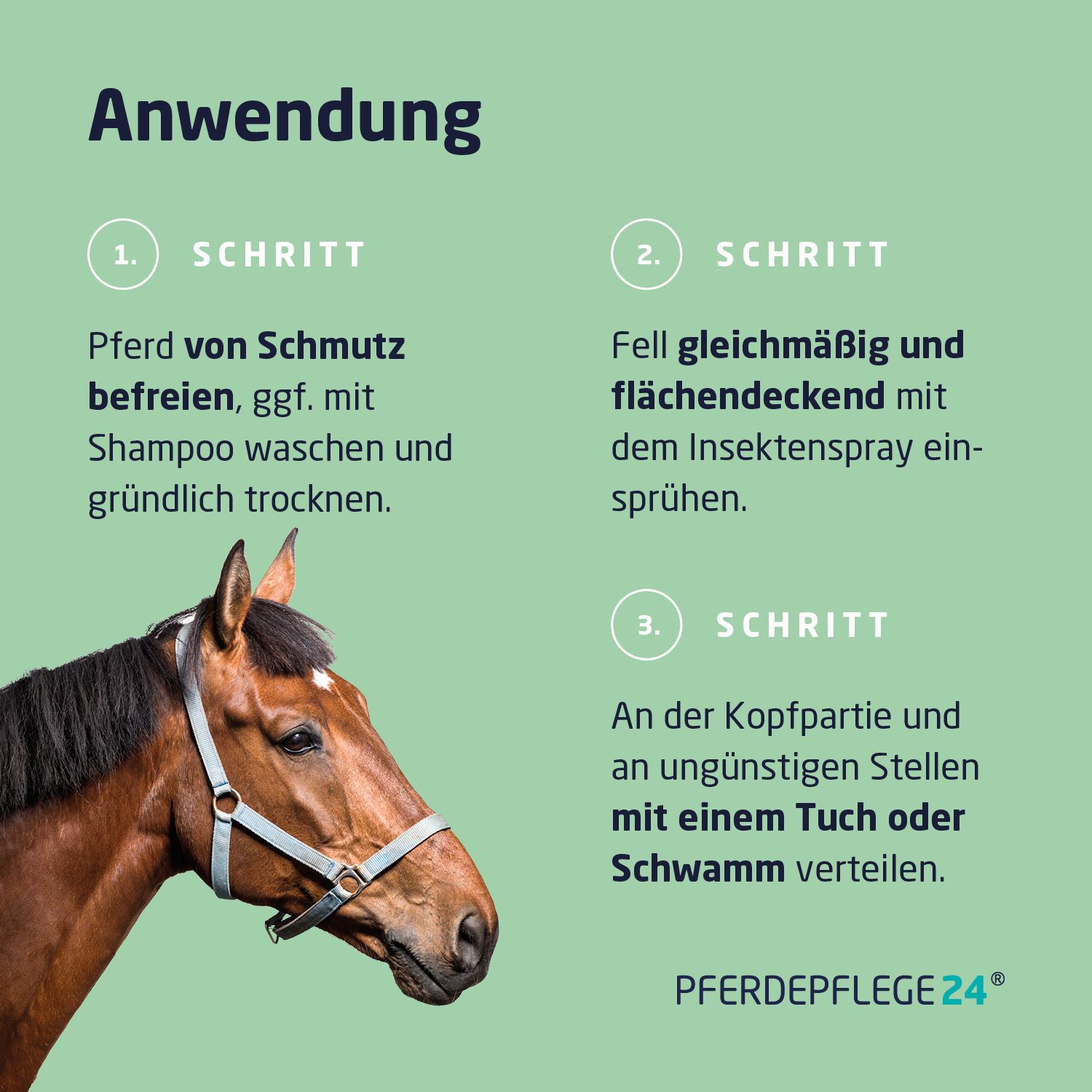 Anwendungsschritte. Pferd reinigen, Insektenspray auftragen, an empfindlichen Stellen verteilen. Text: Pferdepflege24.