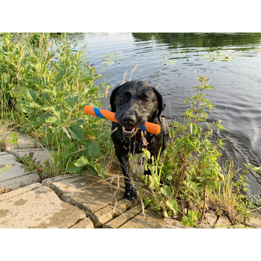 ChuckIt Ultra Fetch Stick - eine strapazierfähige, langlebige Alternative zum Stöckchen