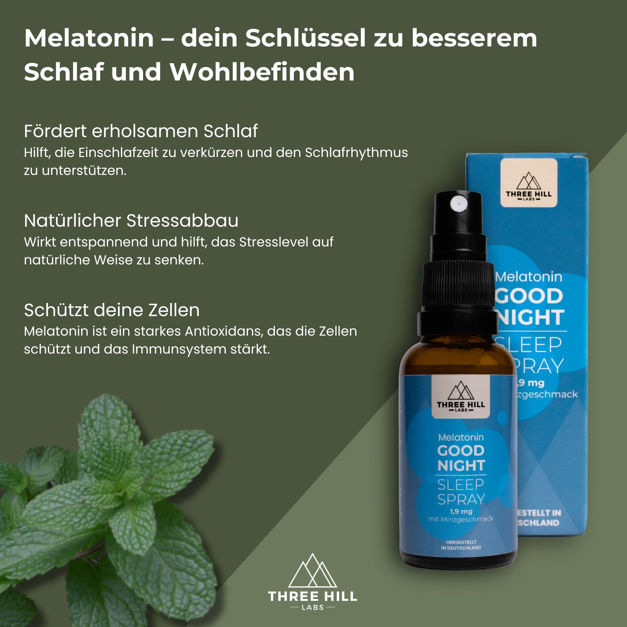Produktflasche und Schachtel. Text: Melatonin Good Night Sleep Spray, 1,9 mg. Mit Minze. Enthält Antioxidantien. Vegan. Auf grünem Hintergrund.
