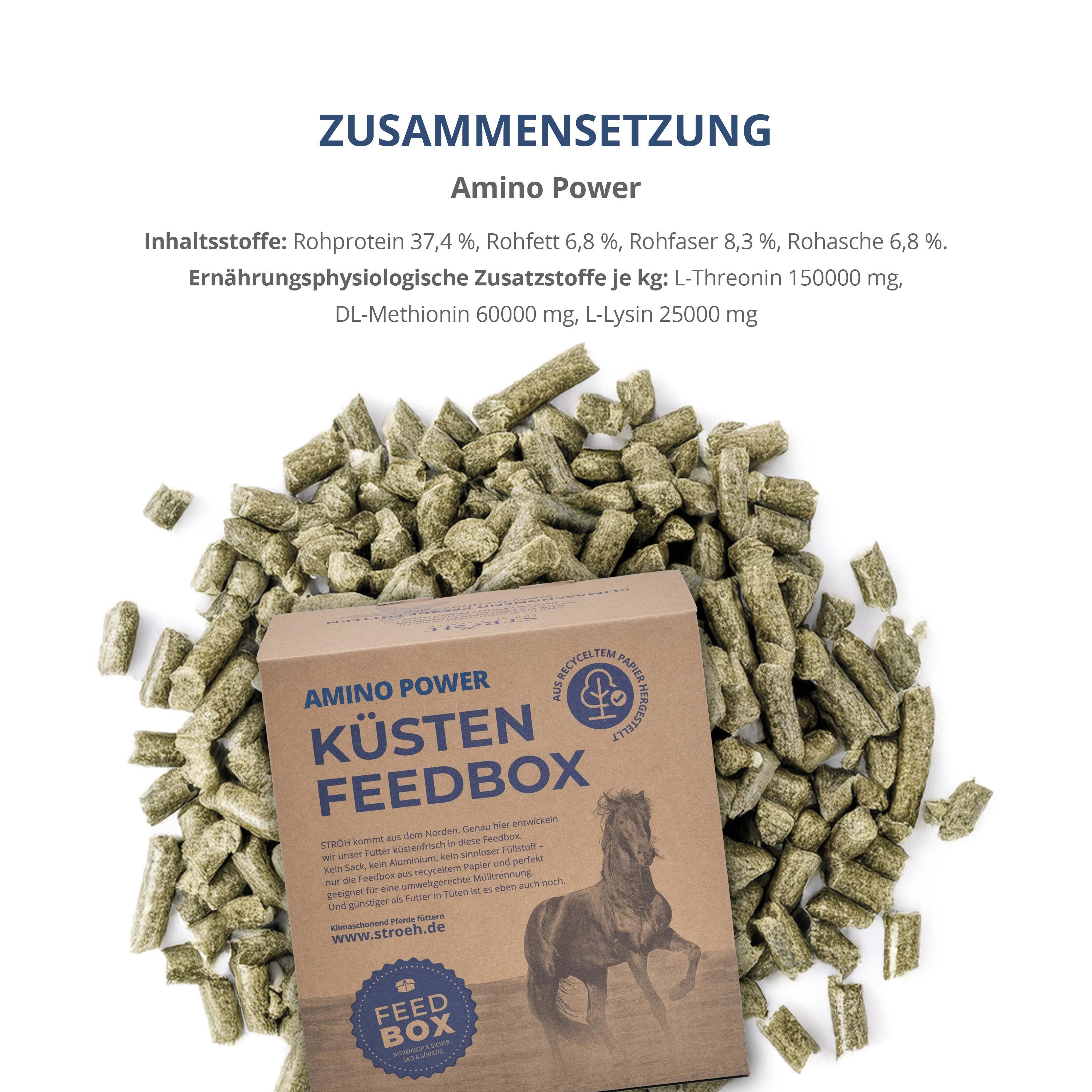 Karton "Amino Power Küsten Feedbox" mit Futterpellets. Text: Zusammensetzung, Inhaltsstoffe. Brauner Karton, grüne Pellets.