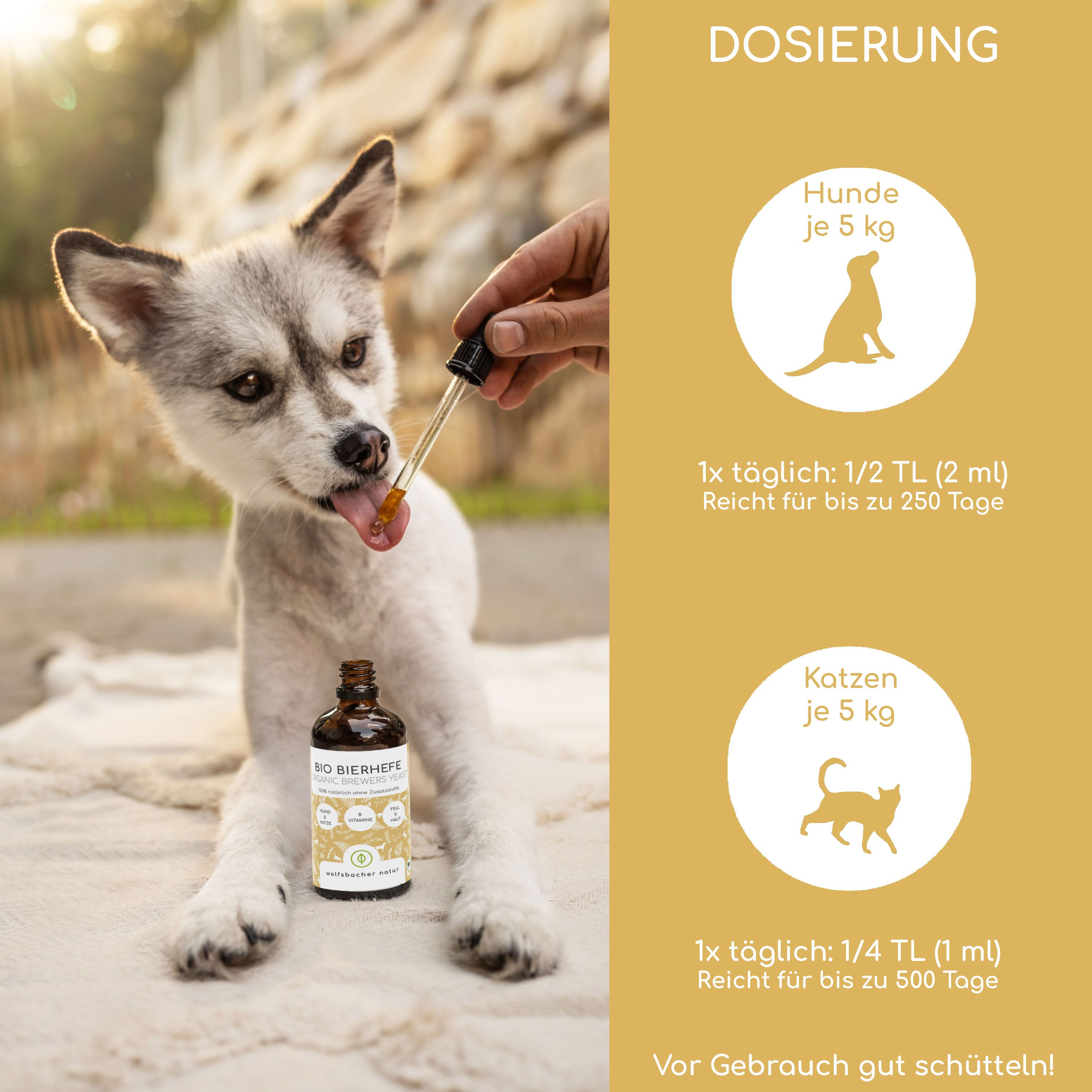 Hand tropft Flüssigkeit aus Pipette in Hundemaul. Flasche BIO Bierhefe daneben. Dosierung für Hunde und Katzen.