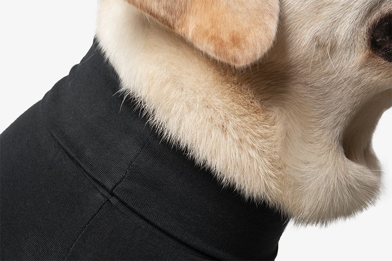 Suitical Recovery Suit - Operationsshirt für Hunde