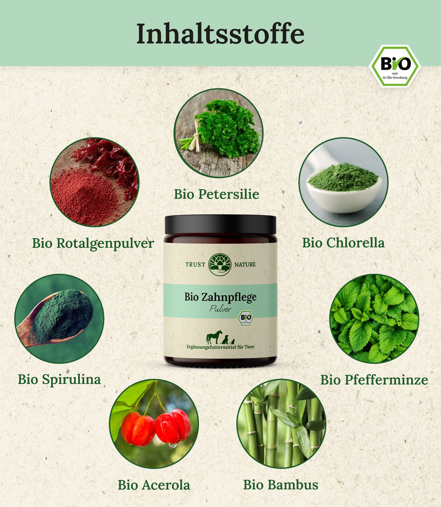Darstellung der Inhaltsstoffe: Bio Petersilie, Bio Rotalgenpulver, Bio Spirulina, Bio Acerola, Bio Chlorella, Bio Pfefferminze, Bio Bambus.
