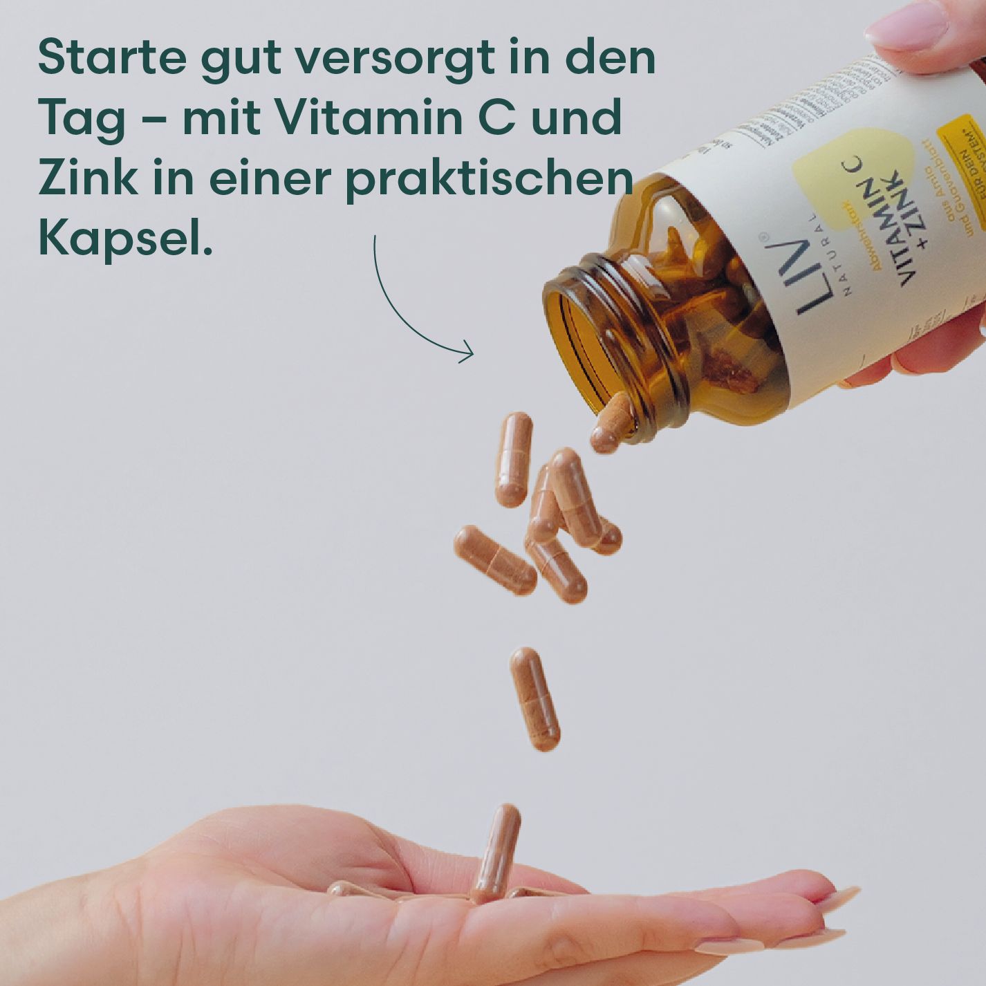 LIV Vitamin C + Zink 120 Kapseln 100 % pflanzlich ohne Zusätze