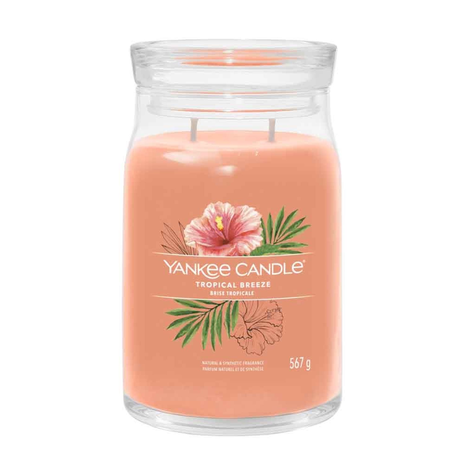 Yankee Candle Tropical Breeze Signature Candle