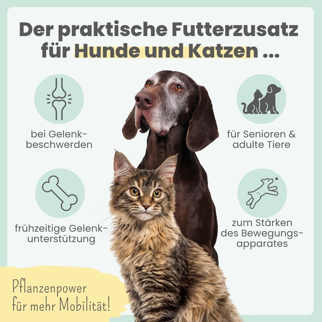 Hund und Katze mit Icons für Gelenkunterstützung und Mobilität.