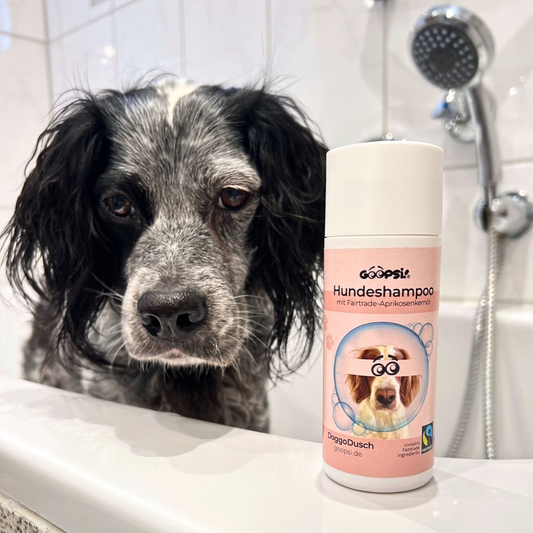 Flasche Goopsi Hundeshampoo mit Fairtrade-Aprikosenkernöl. 150ml. Inhaltsstoffe und Fairtrade-Hinweis.