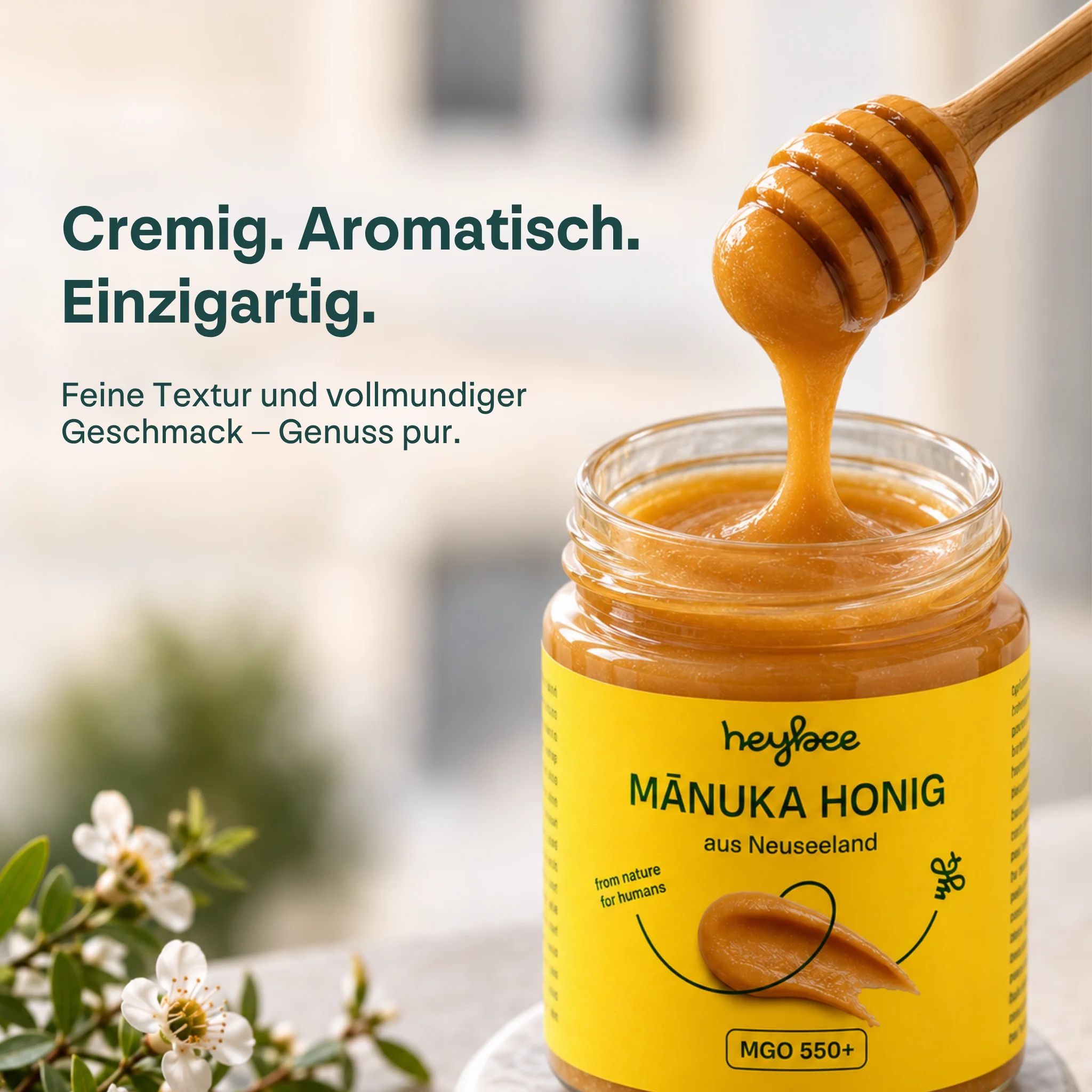 heybee Manuka Honig MGO 550+ Angebot