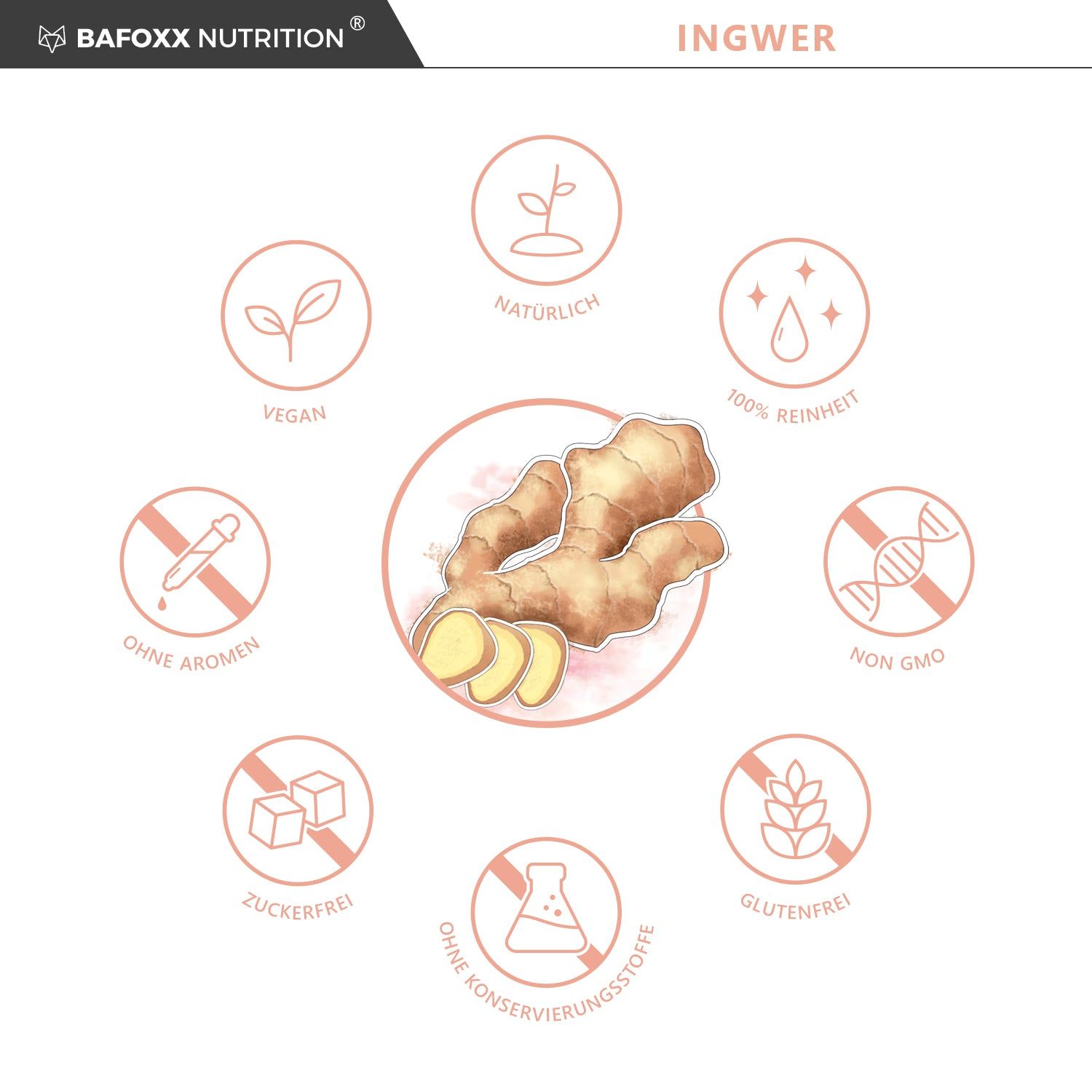 BAFOXX Nutrition® Ingwer Kapseln hochdosiert