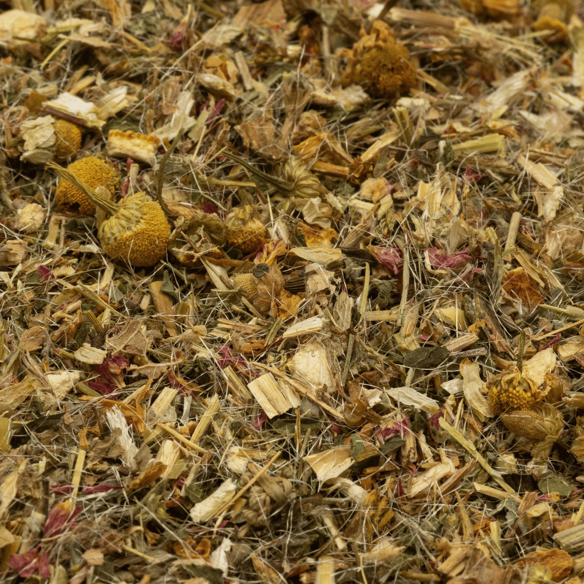 Schlosskräuter Bittertee Kräutertee mit Bitterstoffen