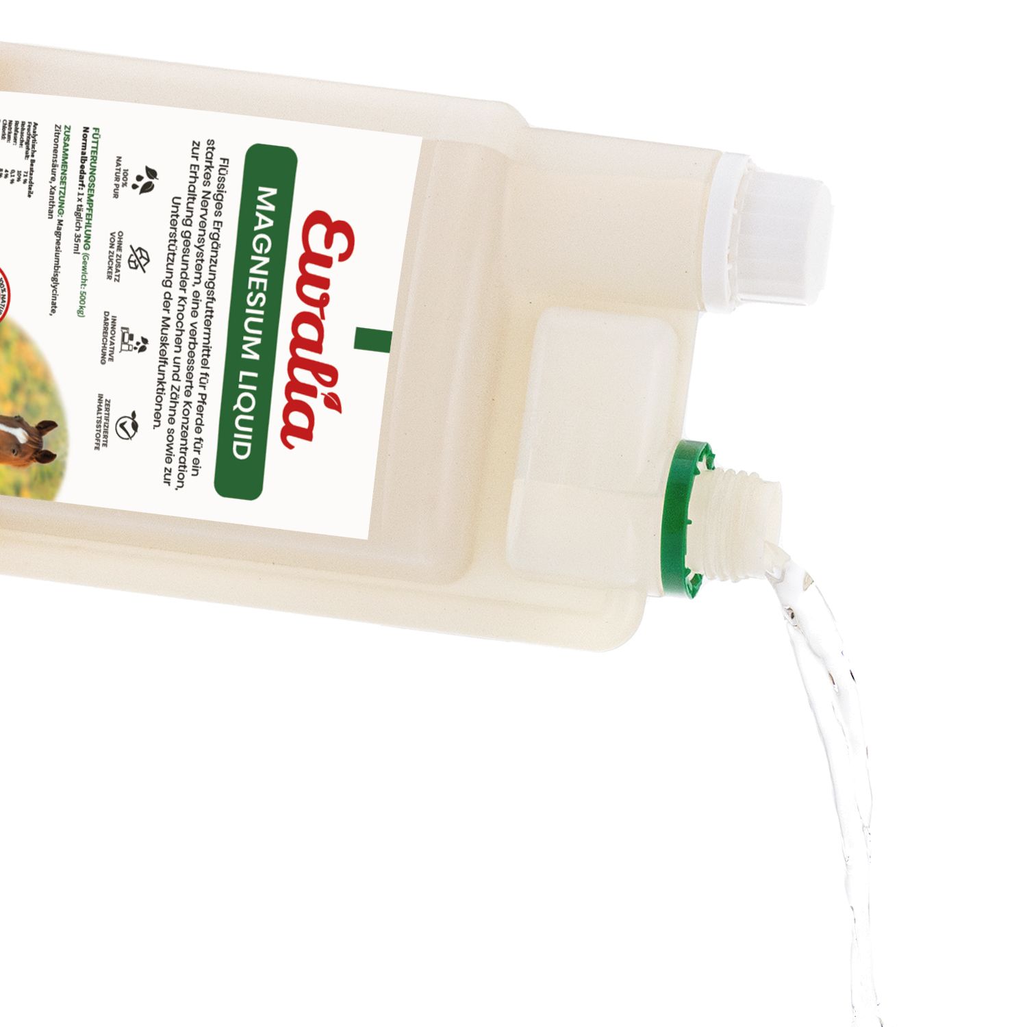 Ewalia Magnesium Liquid 1 l Flüssigkeit