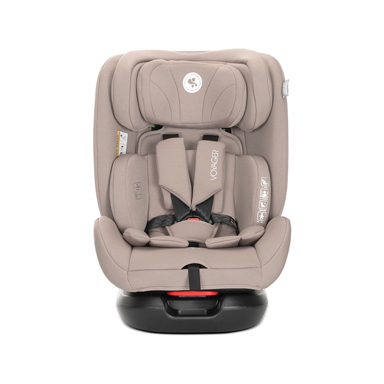 Baby-Autositz mit Nackenkissen, Frontansicht.