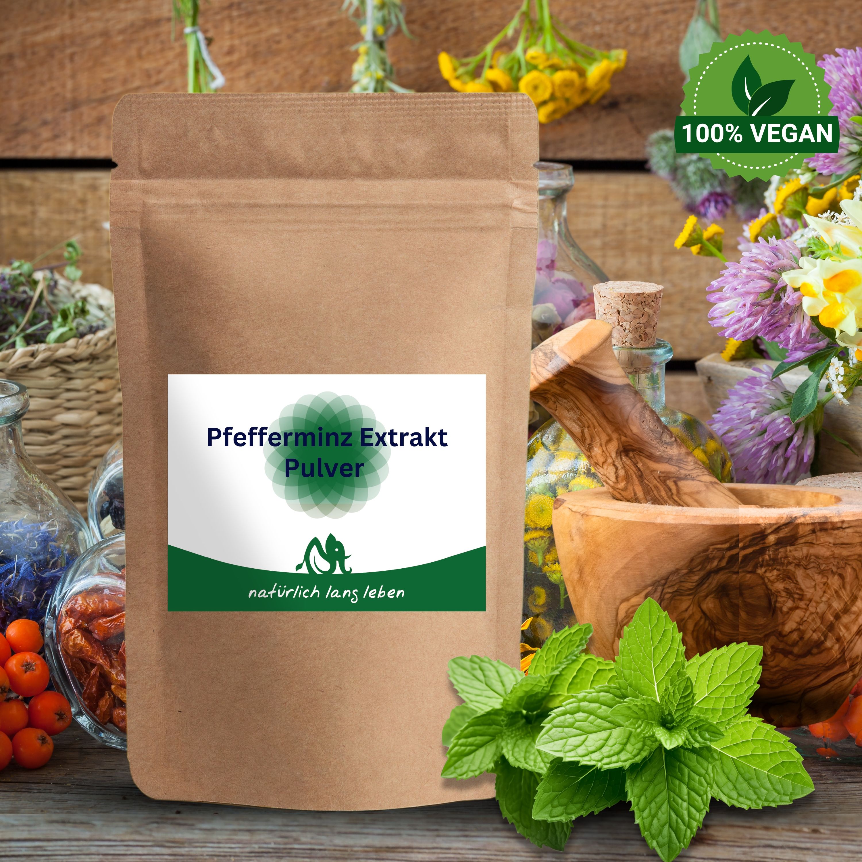 Braune Pulverpackung mit grün-weißem Etikett. Aufschrift: Pfefferminz Extrakt Pulver. Logo: grünes Blatt. Text: natürlich lang leben. 100% vegan.