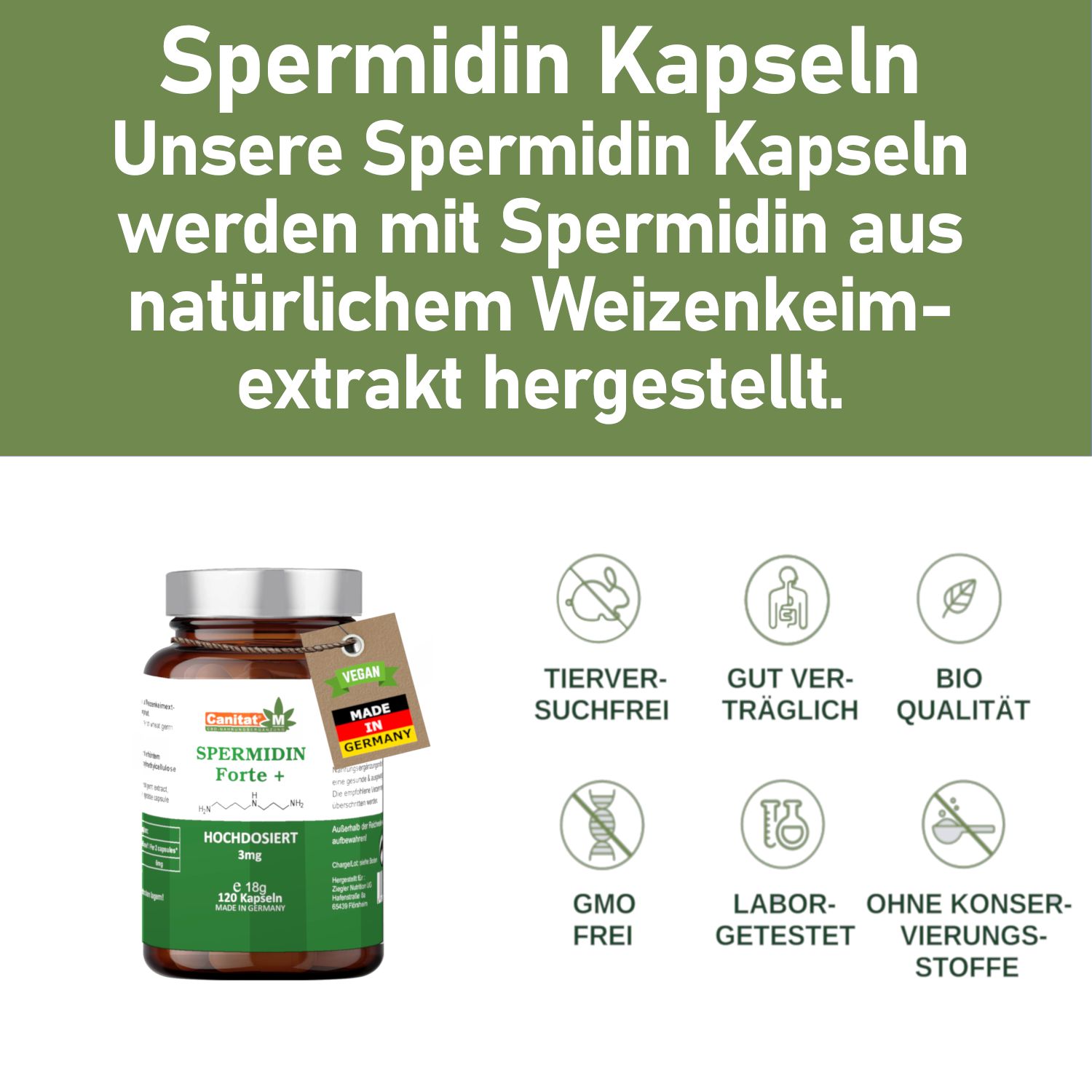 Produktflasche mit Text: Spermidin Kapseln. Text über Weizenkeimextrakt. Vegan-Logo, Made in Germany. Icons: tierversuchsfrei, etc.