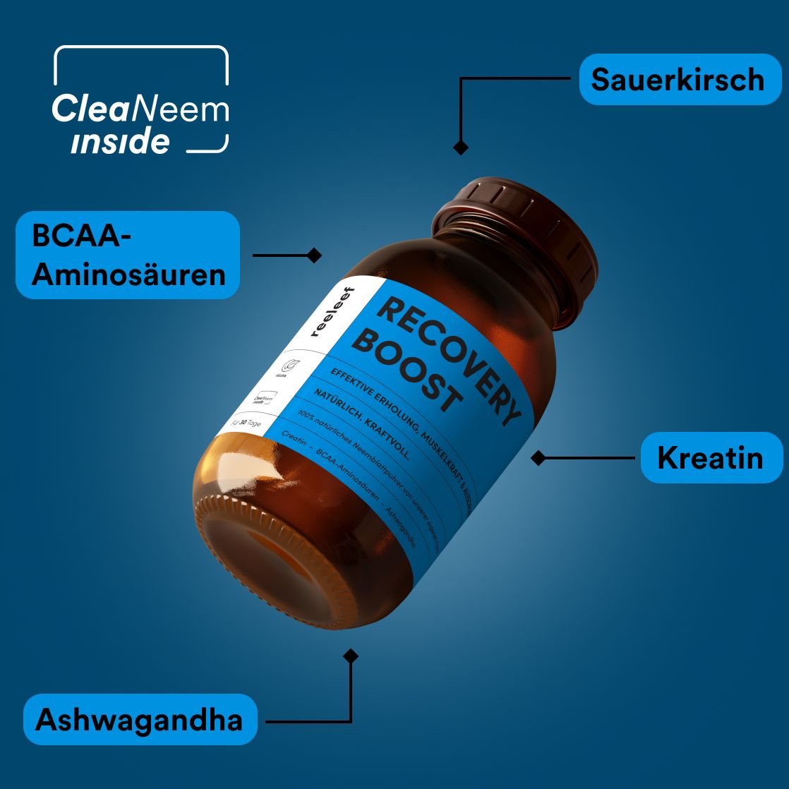 Braune Flasche mit blauem Etikett. Aufschrift: Recovery Boost. Inhaltsstoffe: BCAA-Aminosäuren, Sauerkirsche, Kreatin, Ashwagandha. Hintergrund blau.