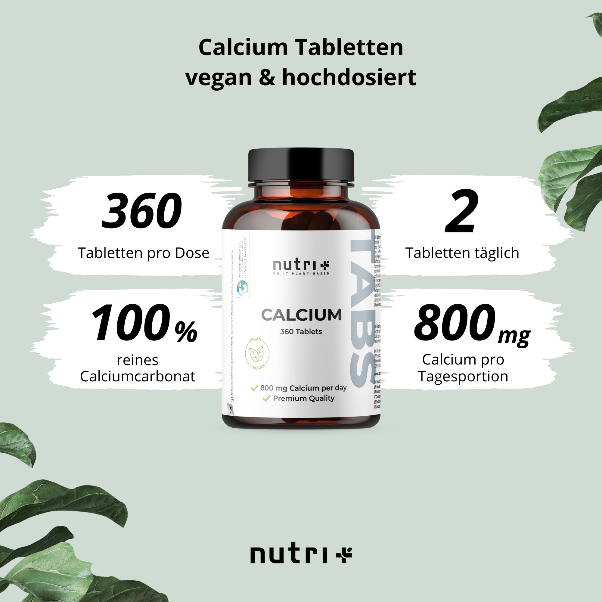Infografik mit einer Flasche Calcium Tabletten, Text: 360 Tabletten pro Dose, 2 Tabletten täglich, 100% reines Calciumcarbonat, 800mg Calcium.
