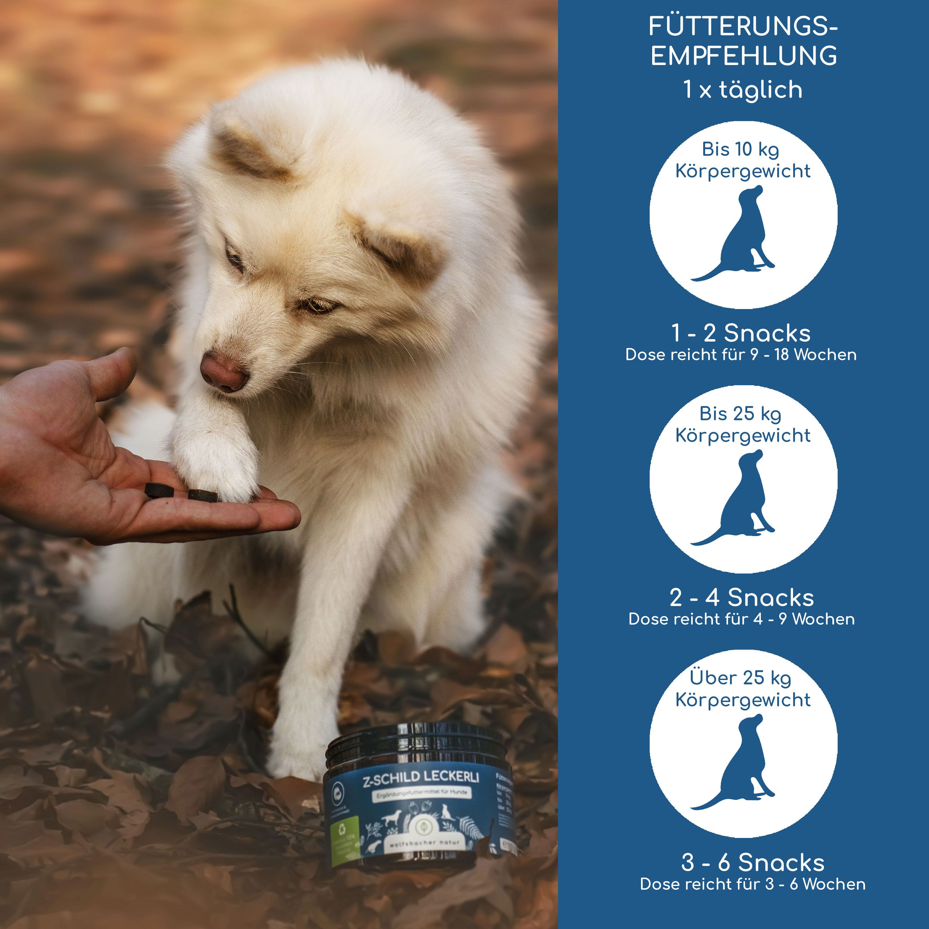 Hund nimmt Leckerli aus der Hand, Fütterungsempfehlung für Z-Schild Leckerli.