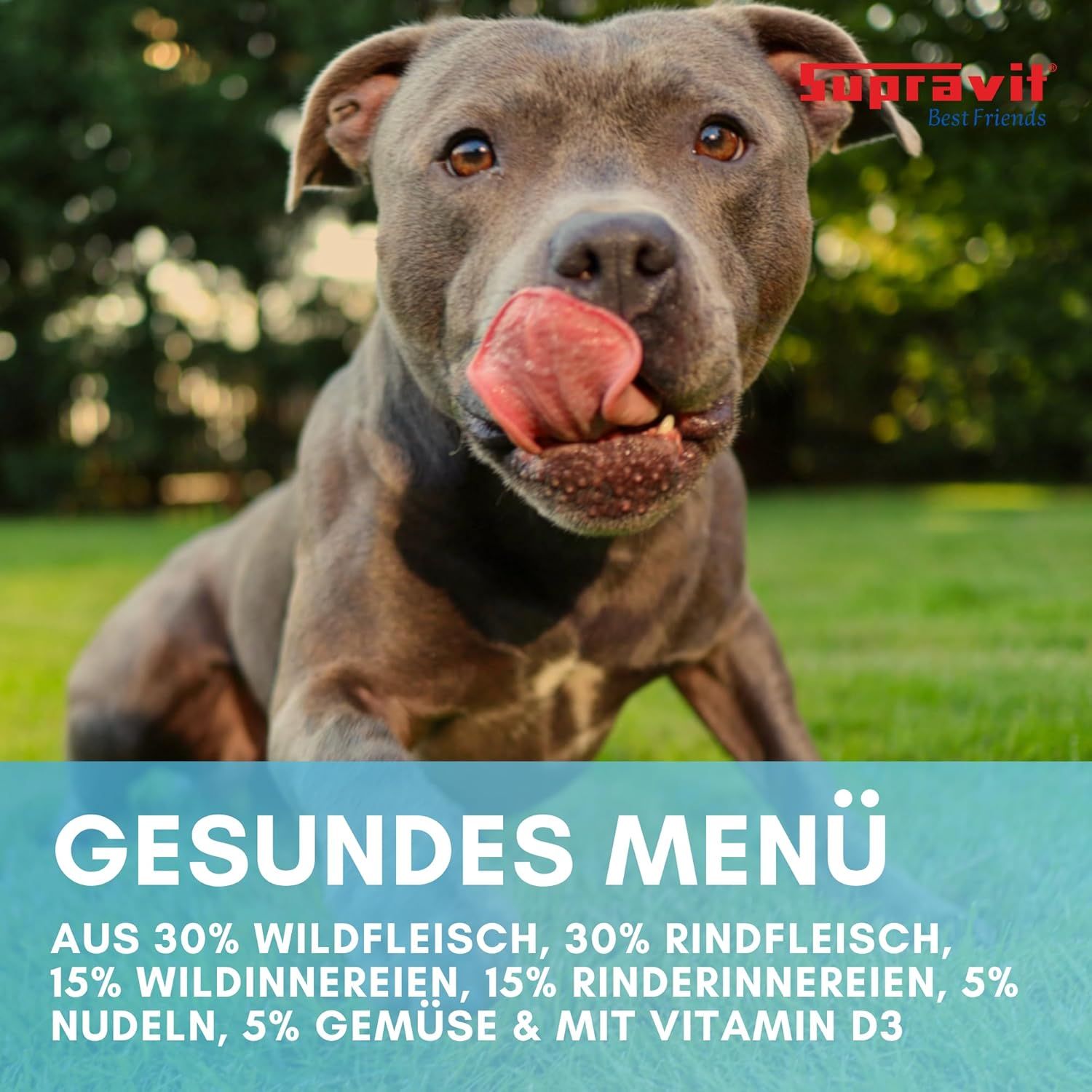 Supravit Hundenassfutter Dosenfutter für Hunde