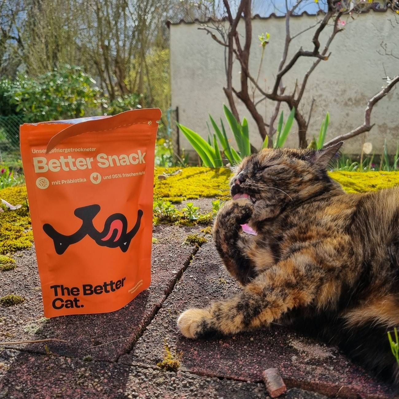 The Better Cat Gefriergetrockneter Katzen Snack - Huhn