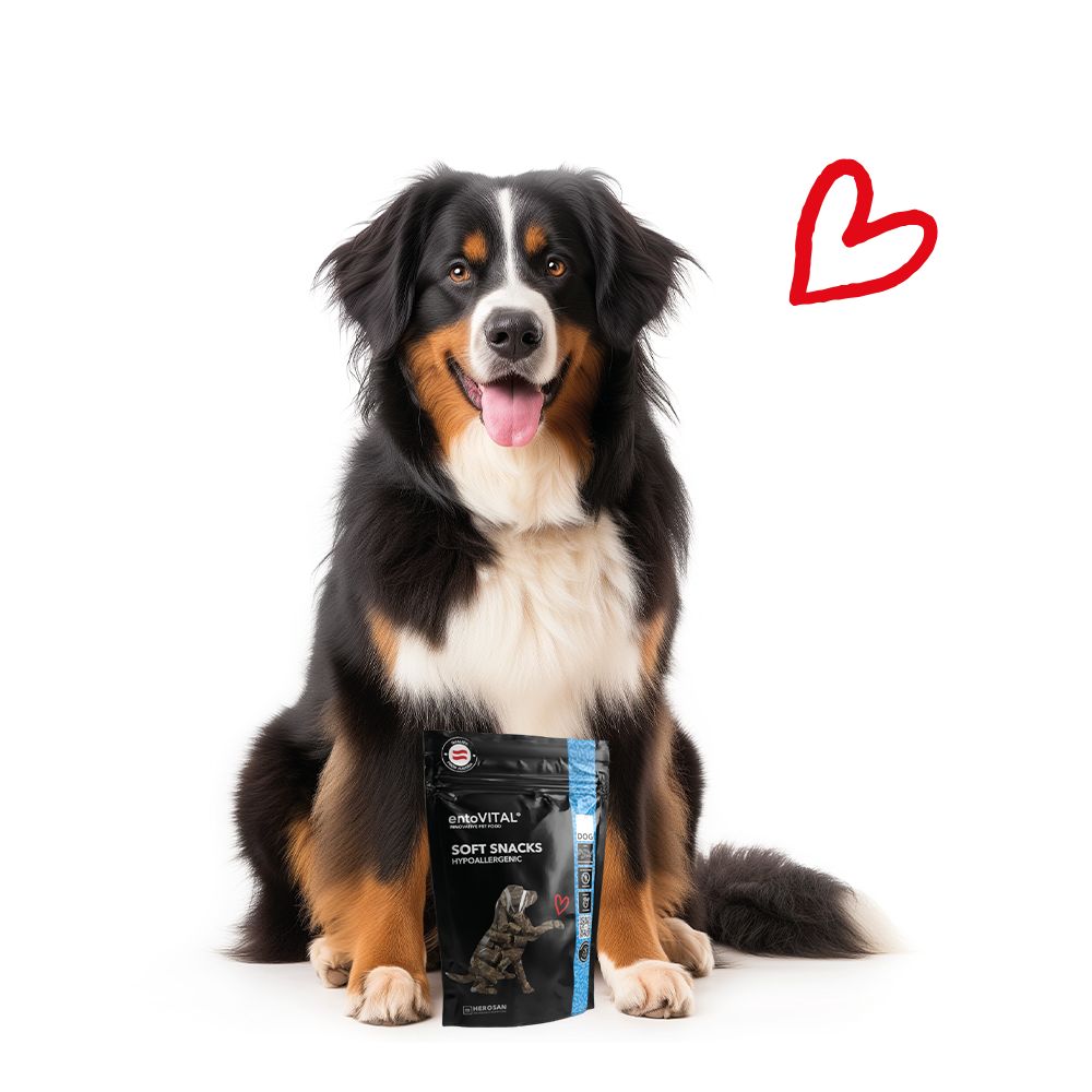 Hund sitzt mit schwarzer Verpackung mit Produktnamen und Logo. Rotes Herz. Text: SOFT SNACKS HYPOALLERGENIC.