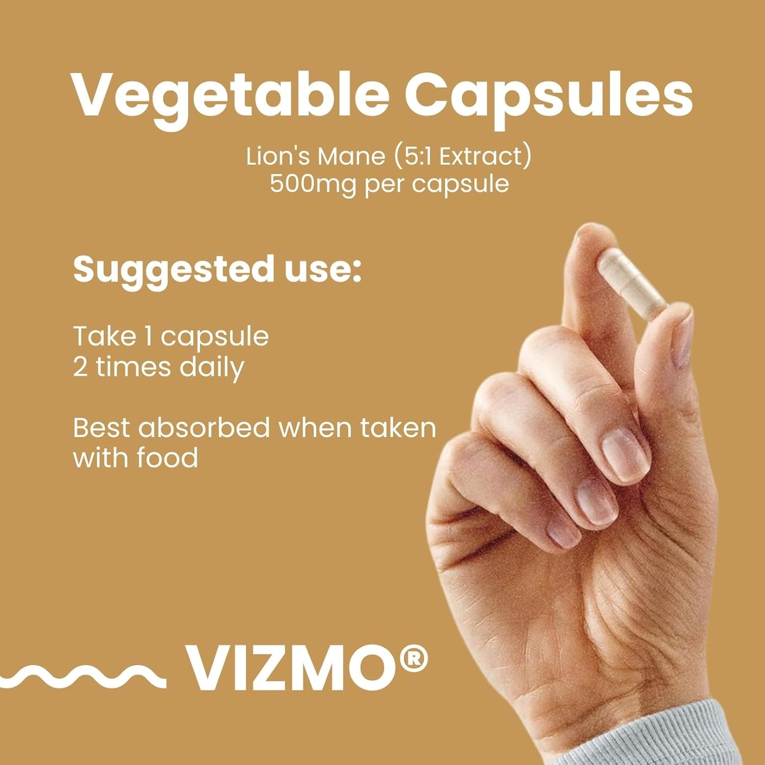 Vizmo Gehirnleistung Lions Mane Kapseln