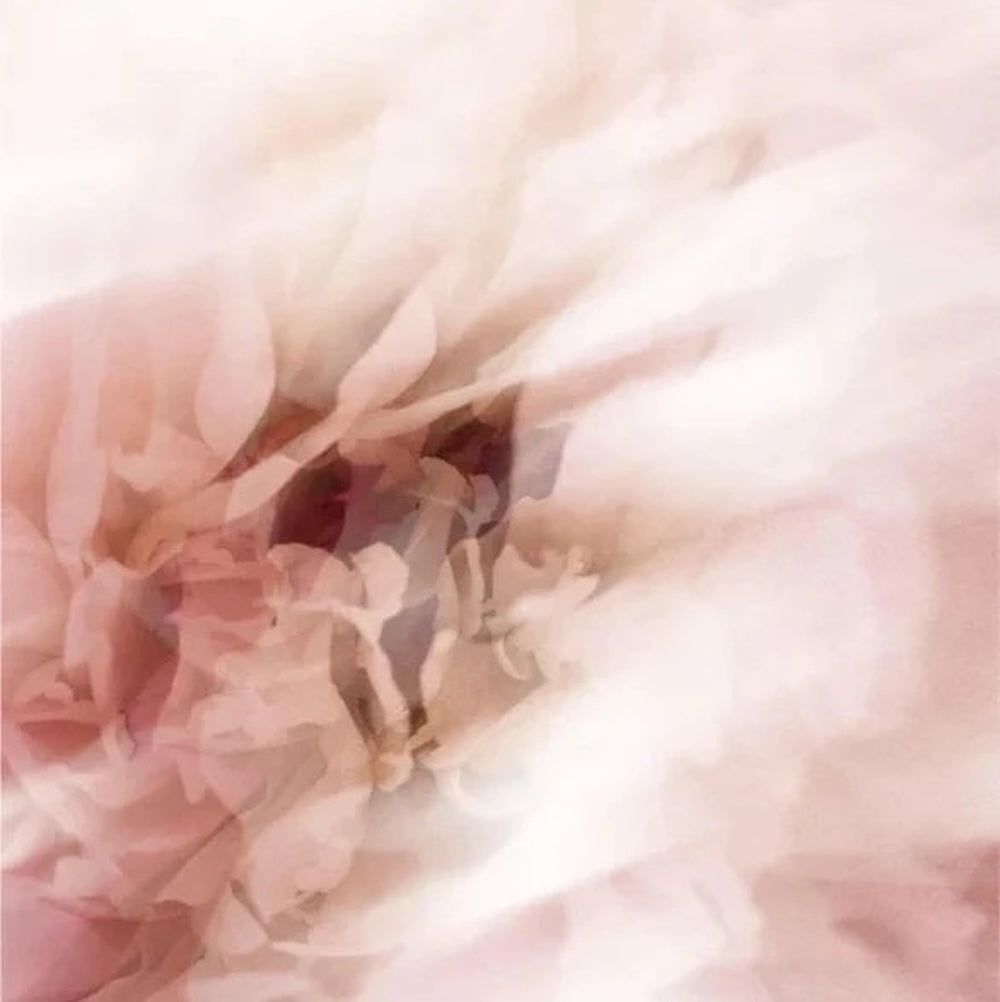 Zero Skin Mineralischer Sonnenschutz Stick, mit Tönung SPF50, mit Bio Ölen für alle Hauttypen