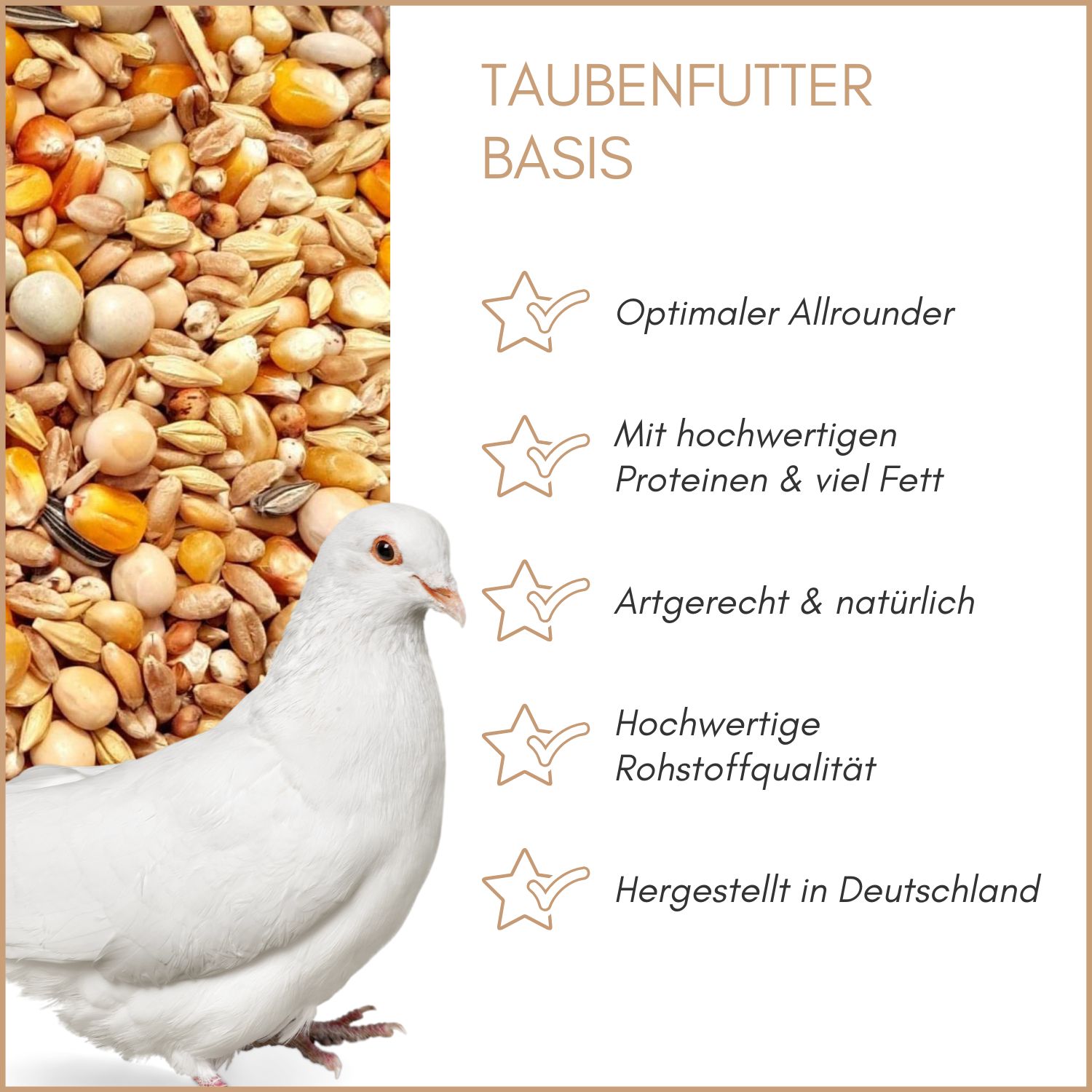 Taubenfutter Basis. Text mit Eigenschaften: optimaler Allrounder, Proteine & Fett, artgerecht, hochwertige Rohstoffe, hergestellt in Deutschland. Taube.