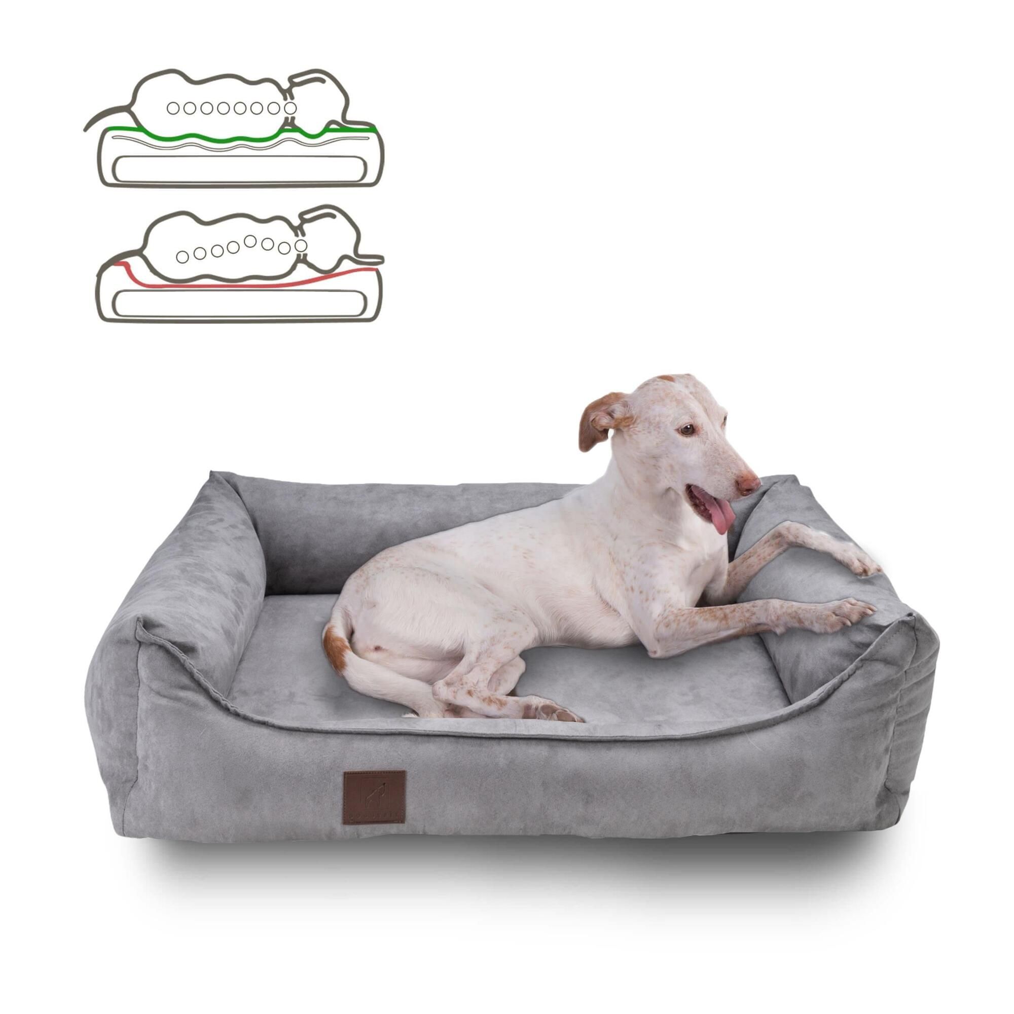 Graues Hundebett mit Velours-Optik. Ein Hund liegt entspannt darin. Eckige Form mit erhöhtem Rand. Braunes Label.