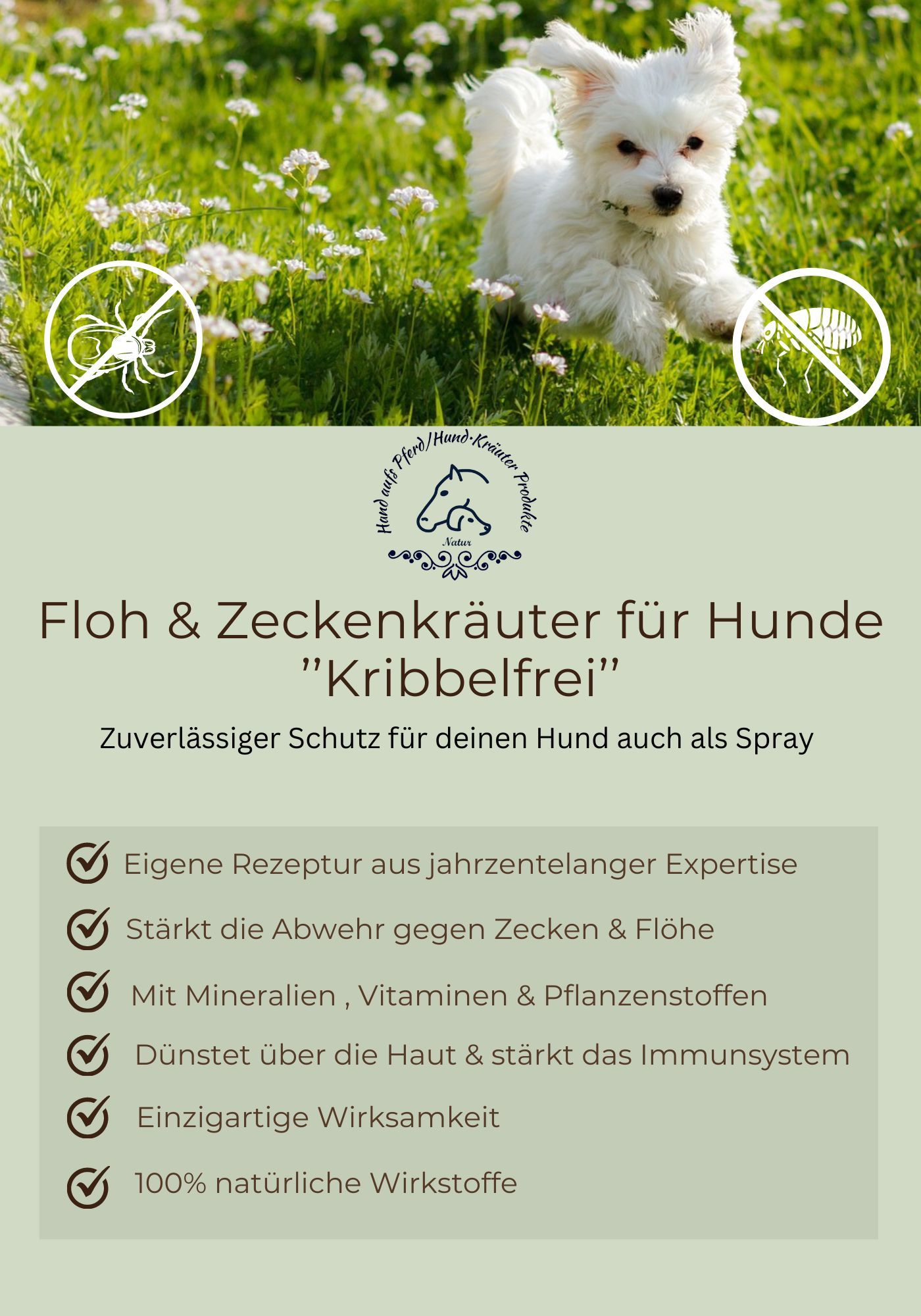 Hand aufs Pferd/Hund Floh & Zecken Spray Kribbelfrei ohne Chemie