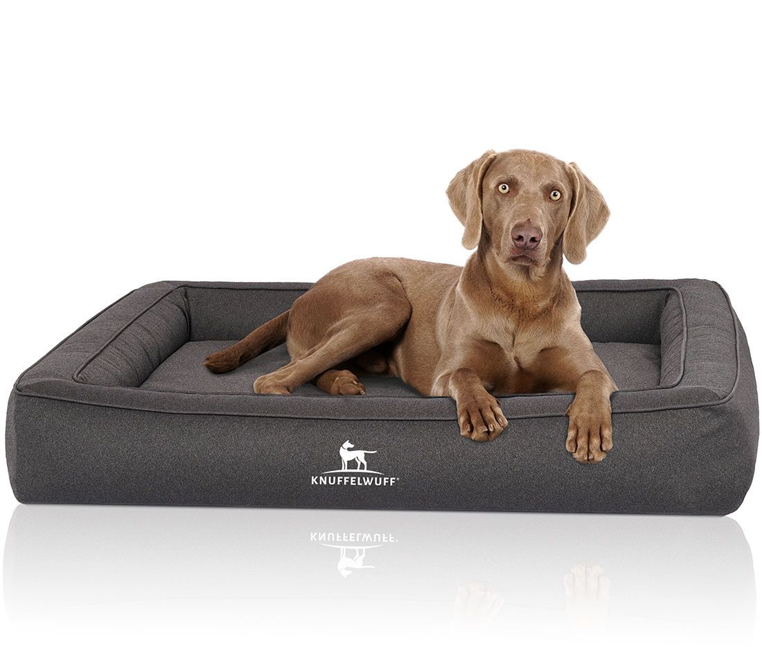 Graues Hundebett mit einem Hund darauf. Das Logo "Knuffelwuff" ist auf der Vorderseite sichtbar.