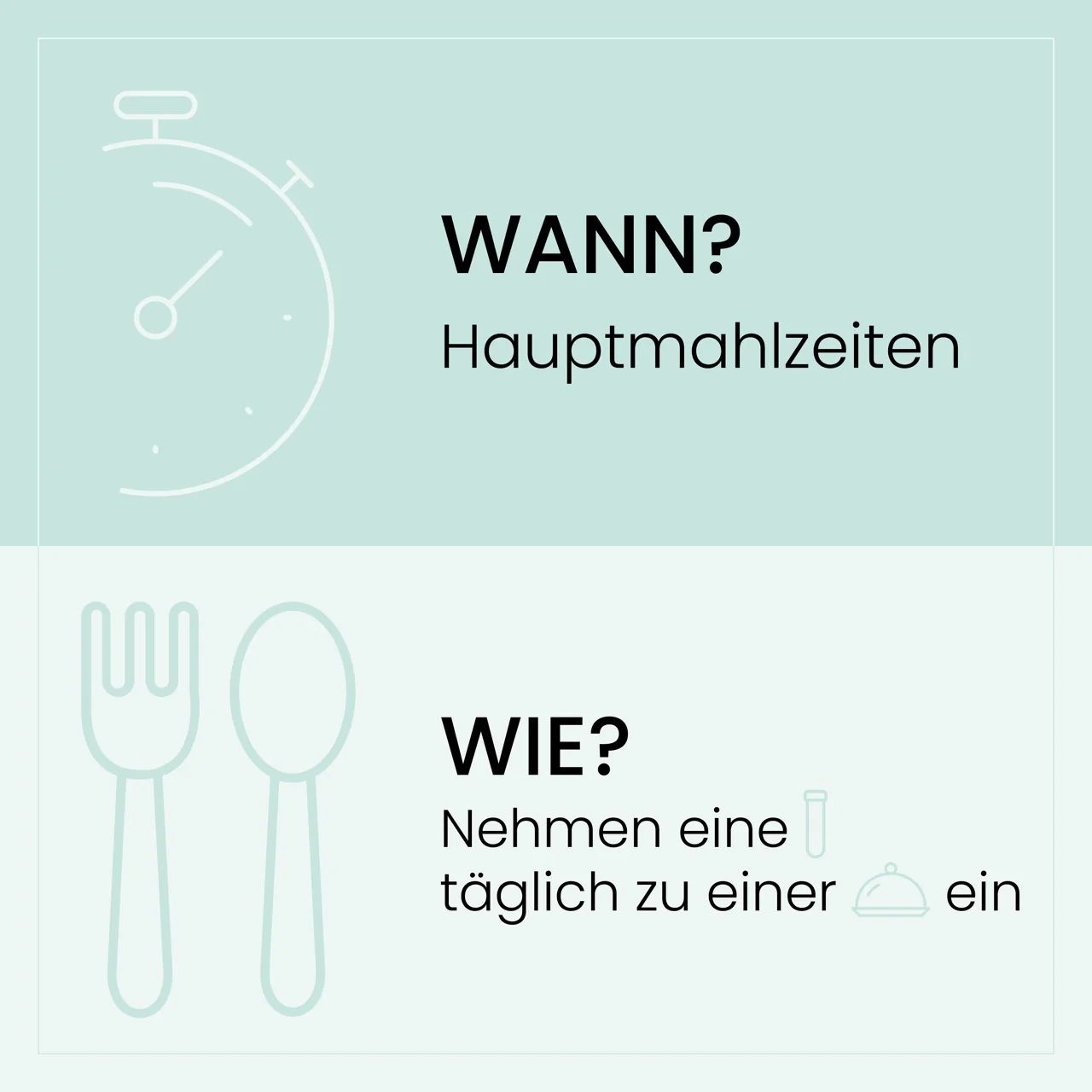 Grafik mit Uhr und Besteck. Text: Wann? Hauptmahlzeiten. Wie? Täglich zu einer Mahlzeit einnehmen.