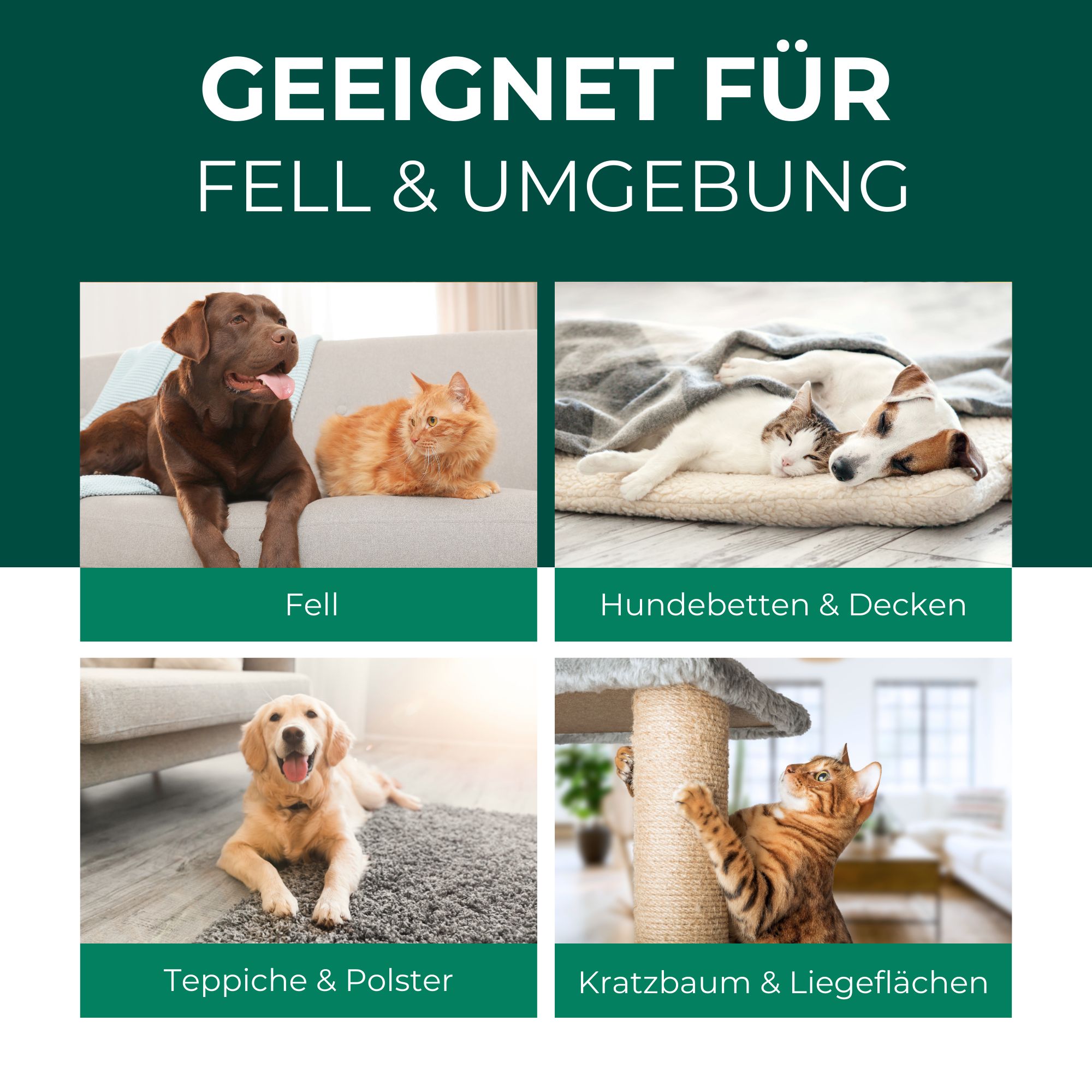 SILBERKRAFT Milbenspray Hunde & Katzen