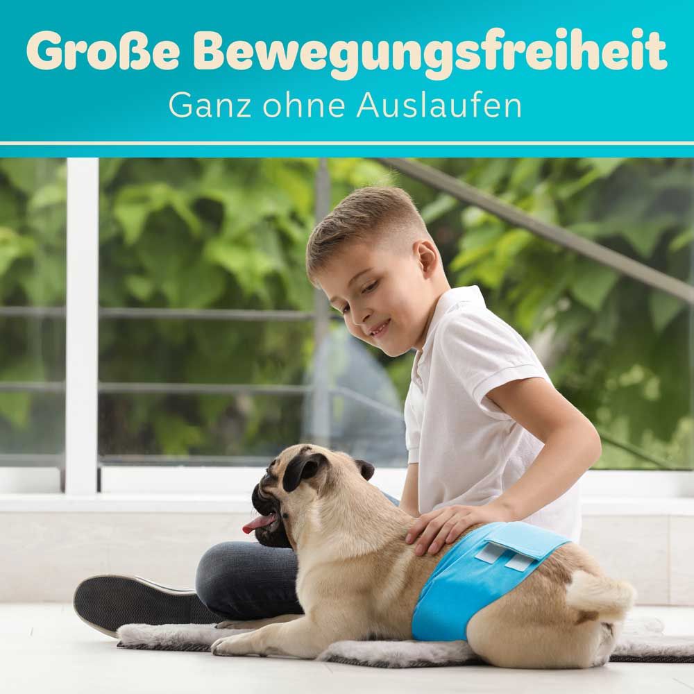Junge mit Hund. Hund trägt blaue Windel. Text: Große Bewegungsfreiheit, Ganz ohne Auslaufen.