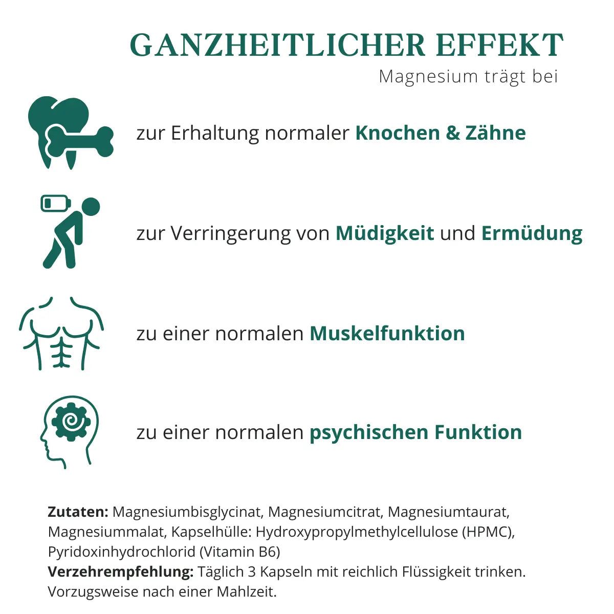 meinVitalium - Magnesium 4-fach Komplex + B6 Kapseln (ohne Oxid)
