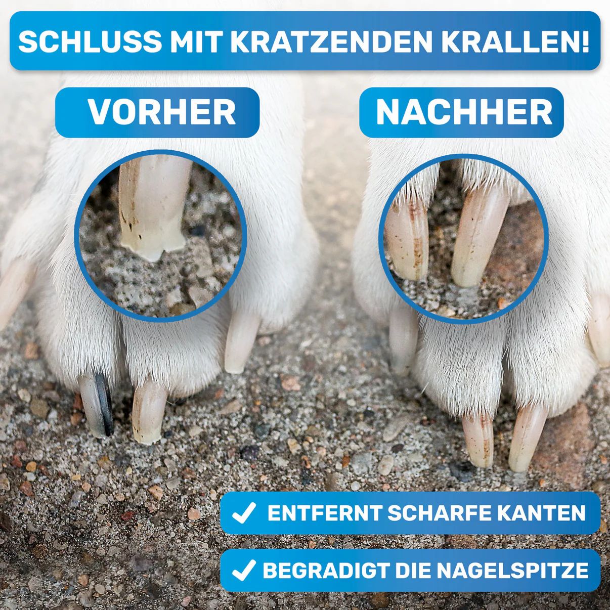BluePet Krallenfeile & Nagelfeile für Hunde, Katzen und Nager