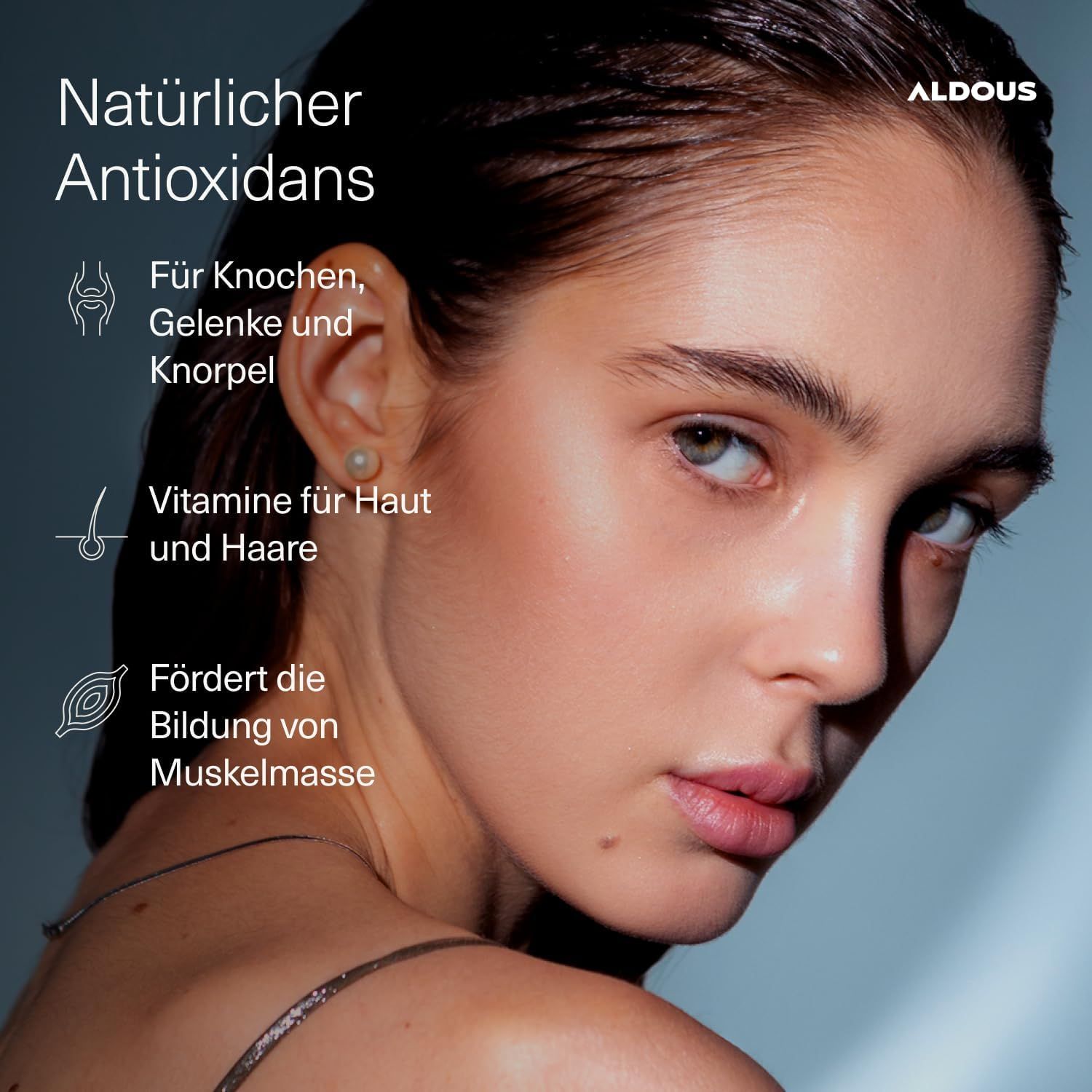 Aldous Hydrolysiertes Kollagen + Hyaluronsäure  Kapsel