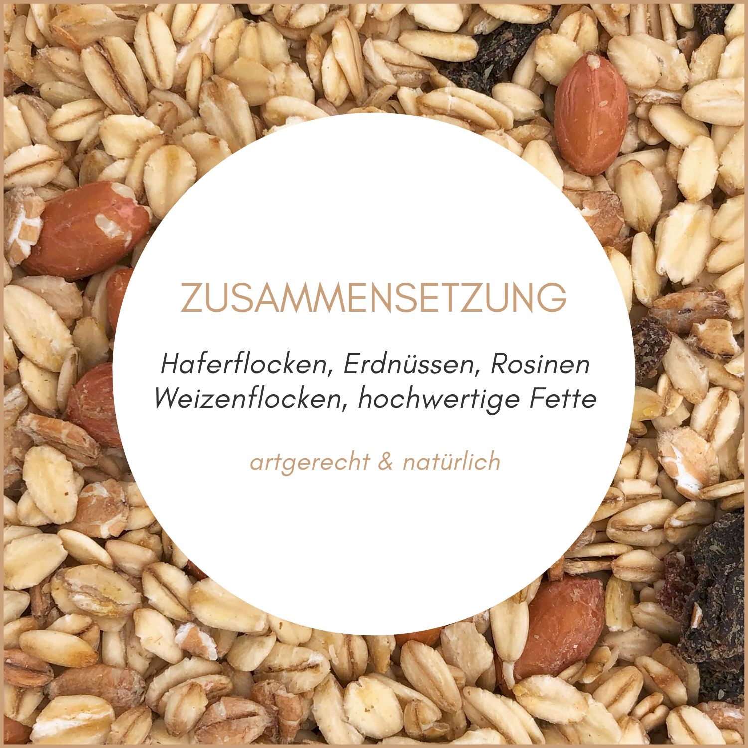 Supravit Premium Fettfutter für Wildvögel - schmackhaftes Vogelfutter & Winterfutter für Vögel