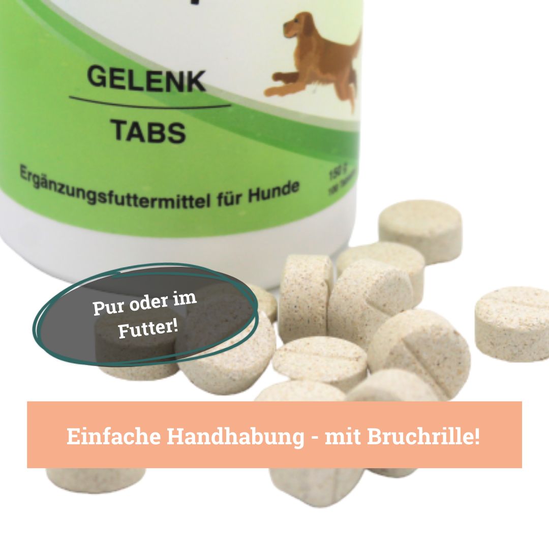 BeG Buddy Gelenktabletten für Hunde, mit Grünlippmuschel