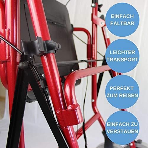 Trendmobil Rollator LR 56  inkl. Korb und Stockhalterung (Farbe  rot)