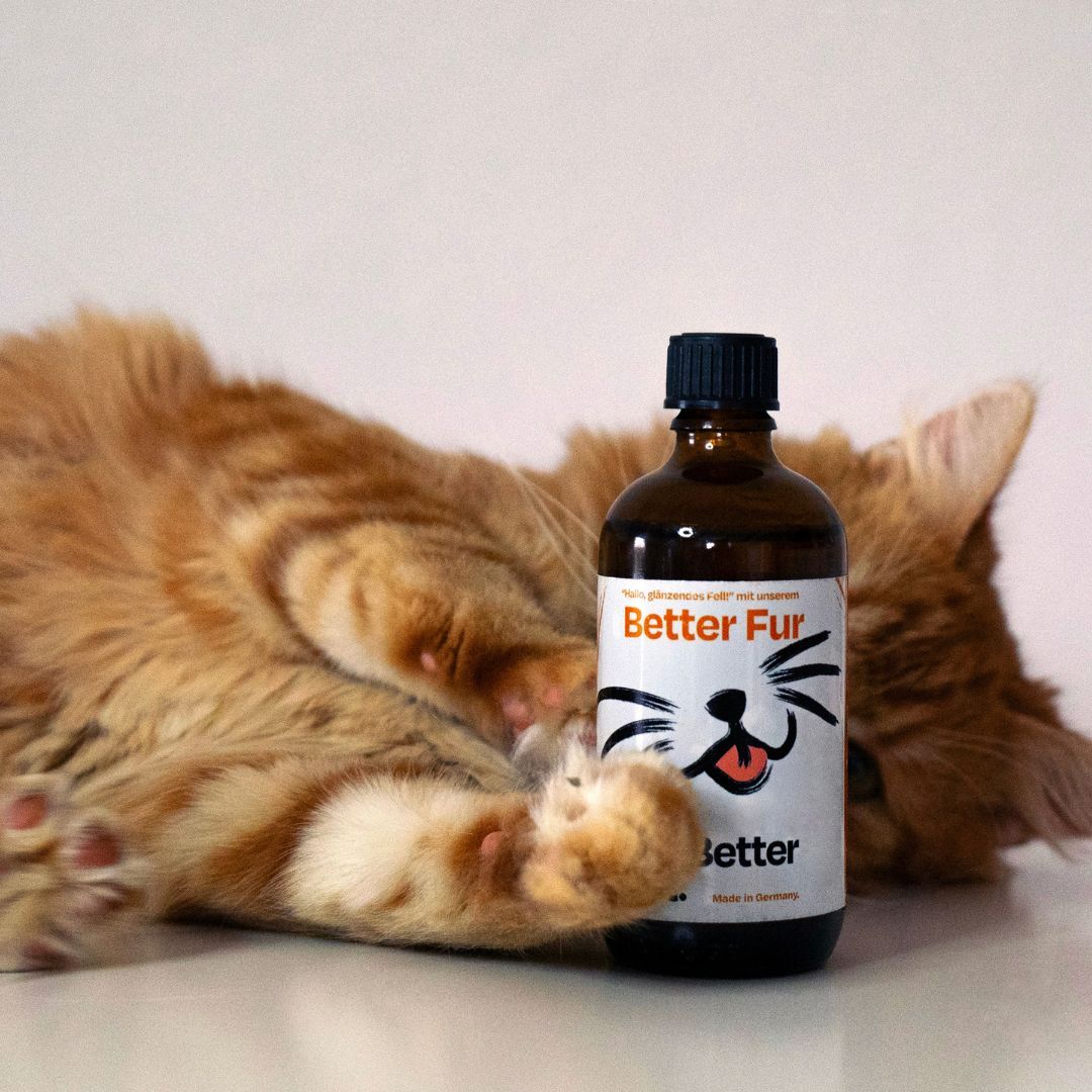 The Better Cat Better Fur Öl zur Fellpflege für Katzen
