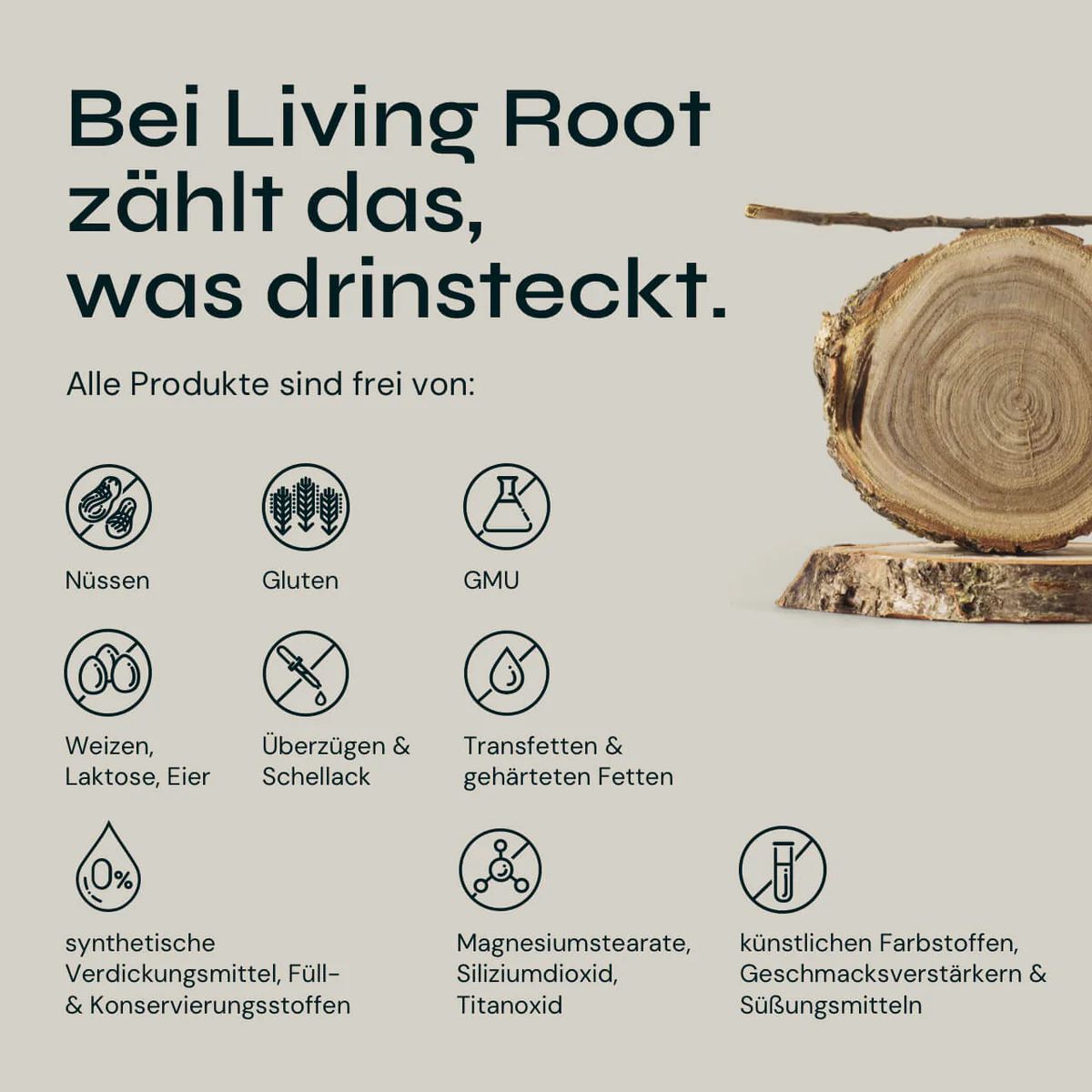 Auf Holzstämmen liegende Holzscheiben. Text: Alle Produkte sind frei von: Nüssen, Gluten, GMU, Weizen, Laktose, Eier, Überzügen & Schellack, Transfetten & gehärteten Fetten.