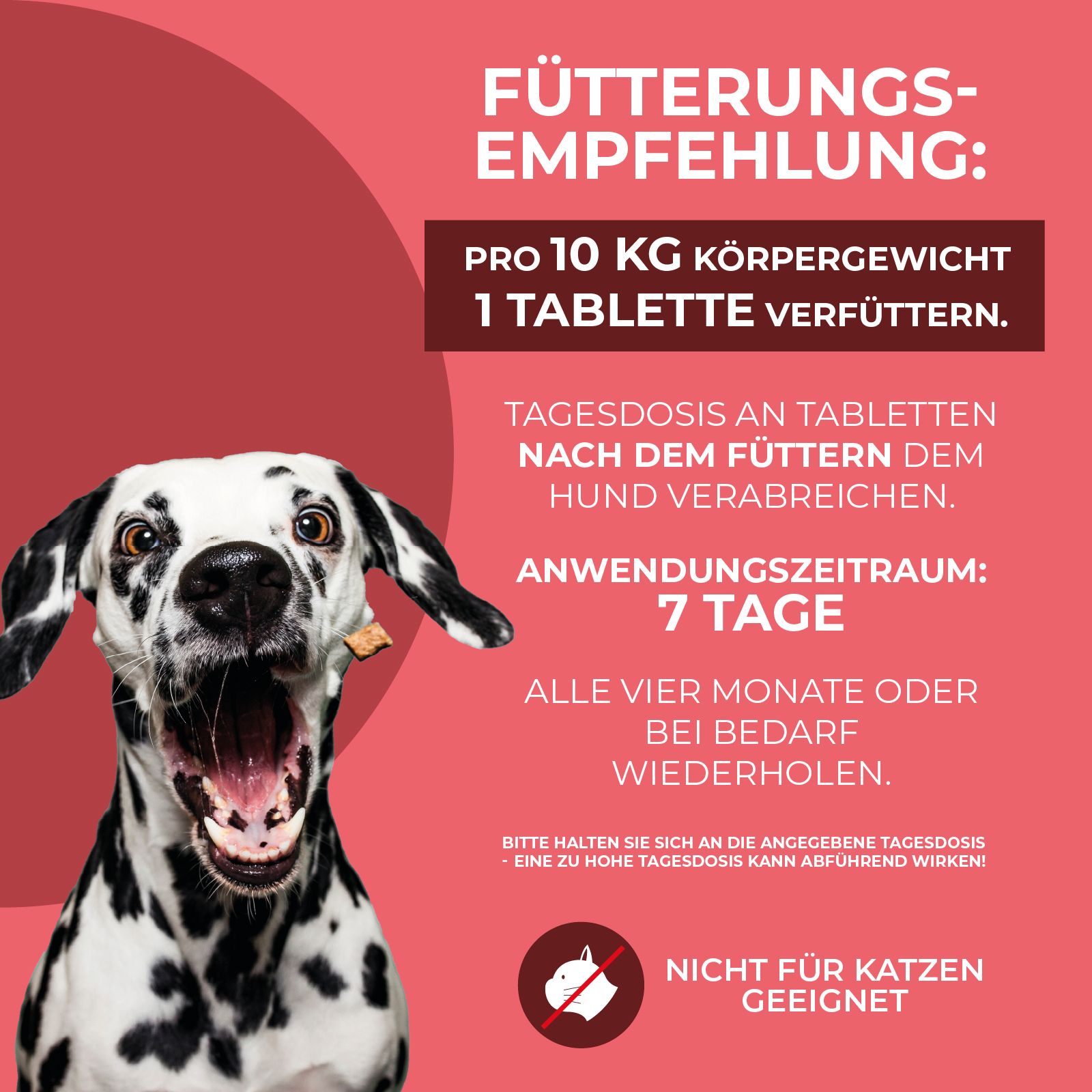 Werbebild mit Dalmatiner. Text: "FÜTTERUNGSEMPFEHLUNG". Dosierung: 1 Tablette pro 10 kg Körpergewicht. Nicht für Katzen.
