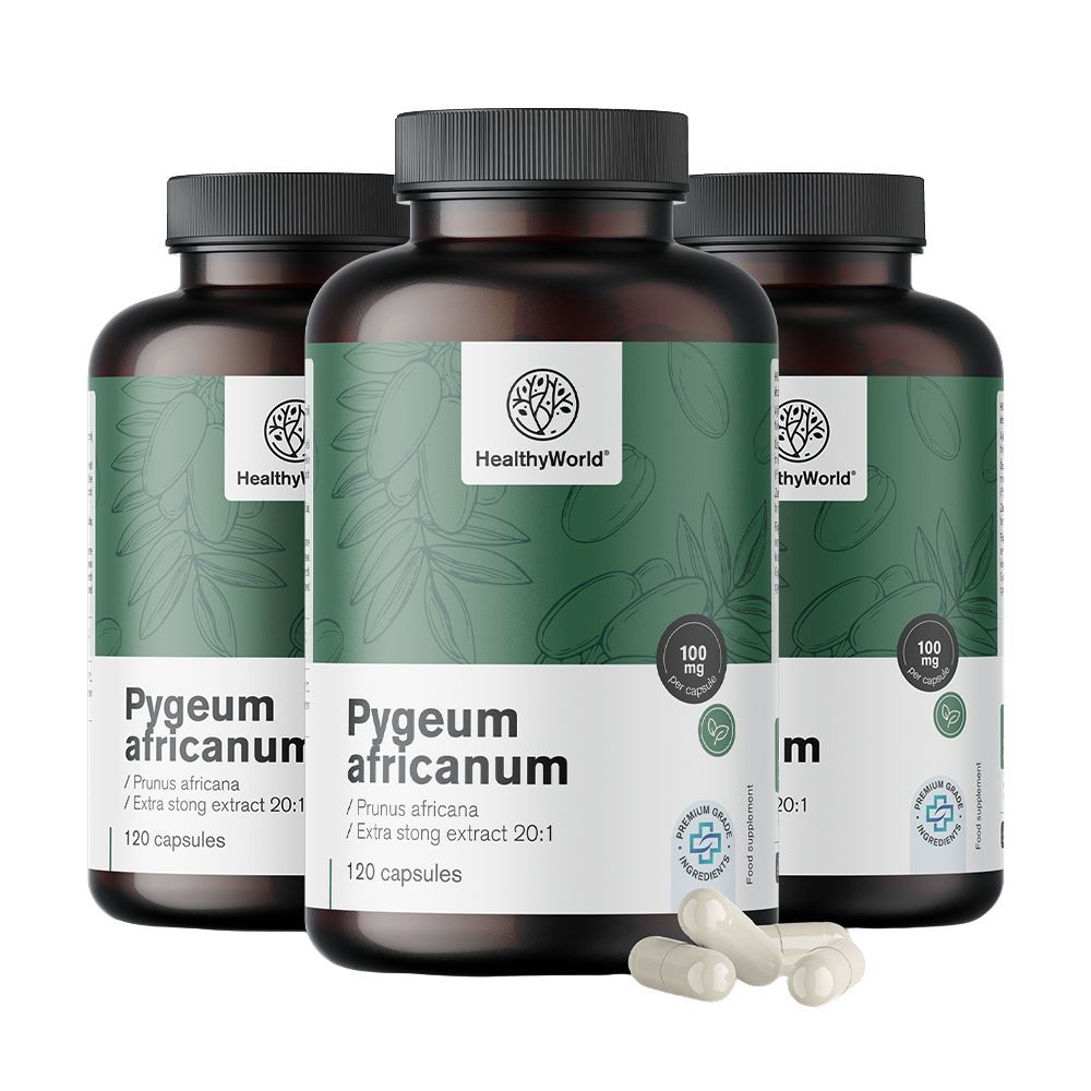 HealthyWorld Pygeum – Extrakt aus afrikanischem Pflaumenbaum