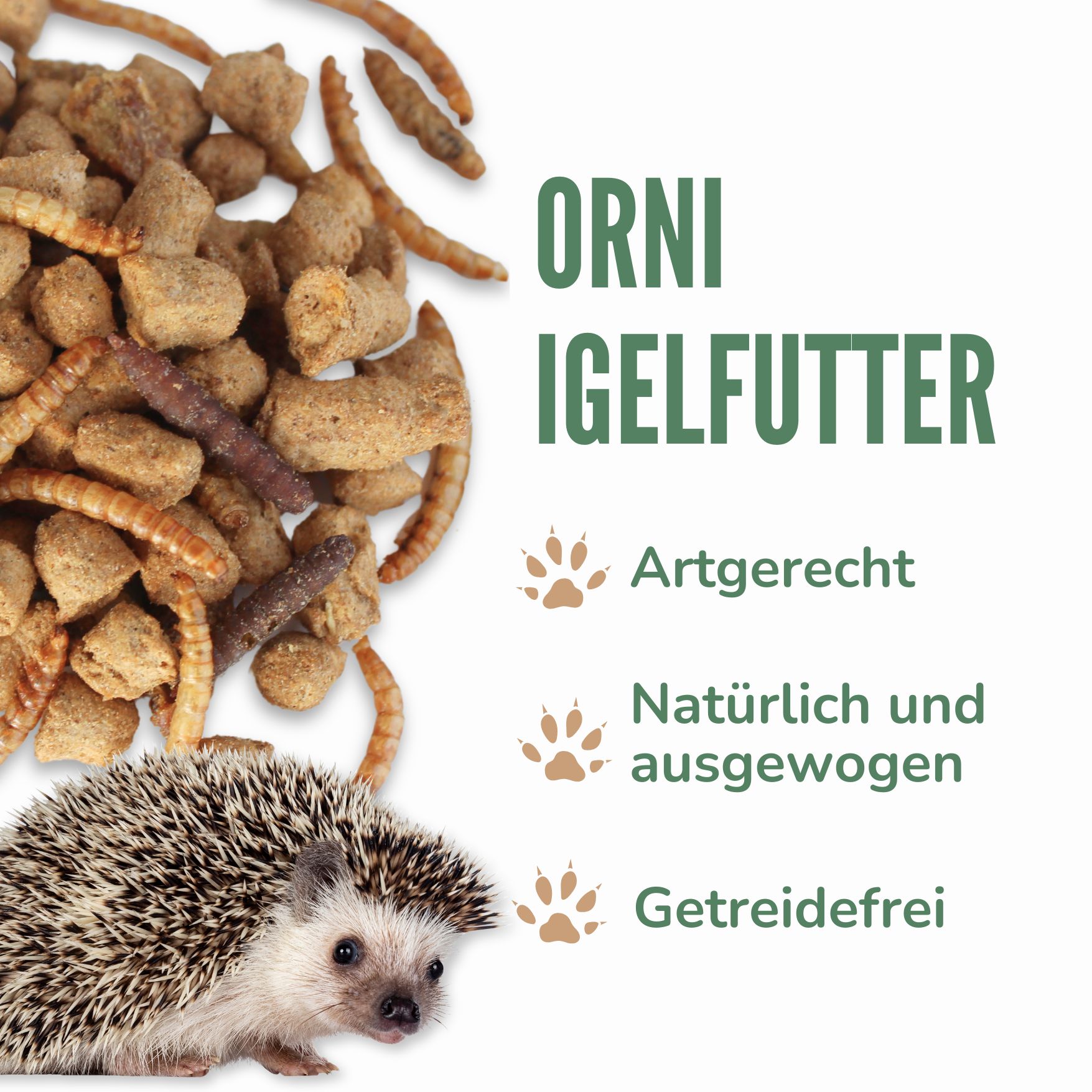 Text: Orni Igelfutter. Artgerecht, natürlich und ausgewogen, getreidefrei. Futter und ein Igel.