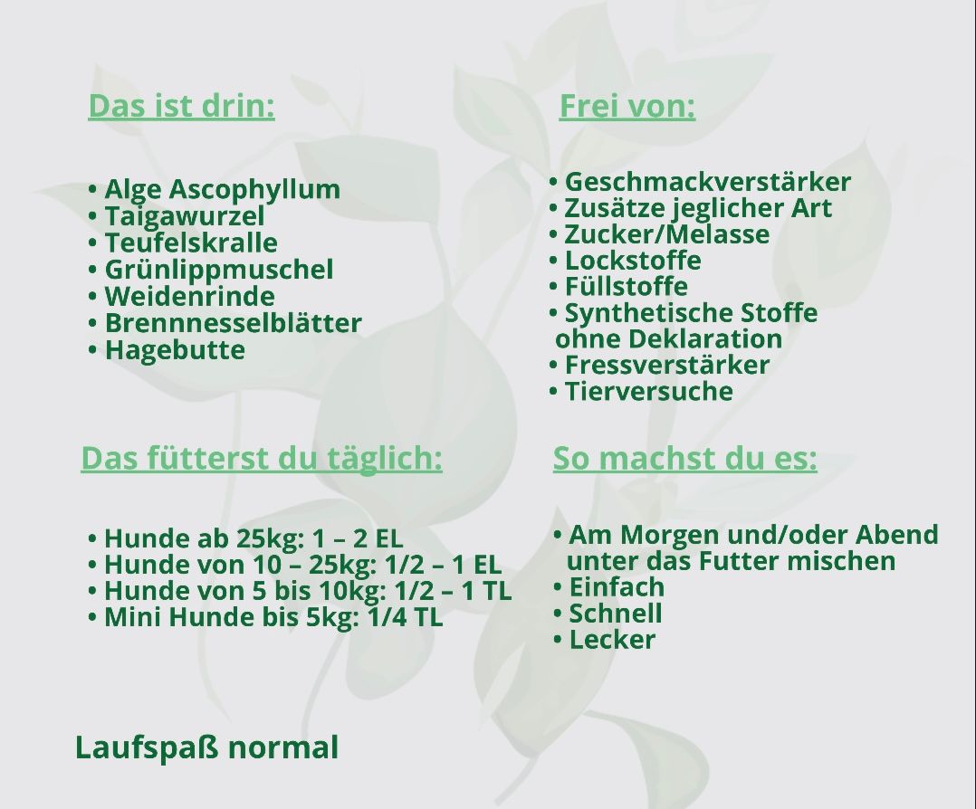 Hand aufs Pferd/Hund Arthrose Kräuter Laufspaß