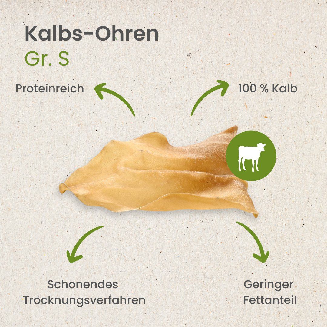 Ein Hund kaut auf einem getrockneten Kalbs-Ohr, das auf einem Holzstamm liegt.