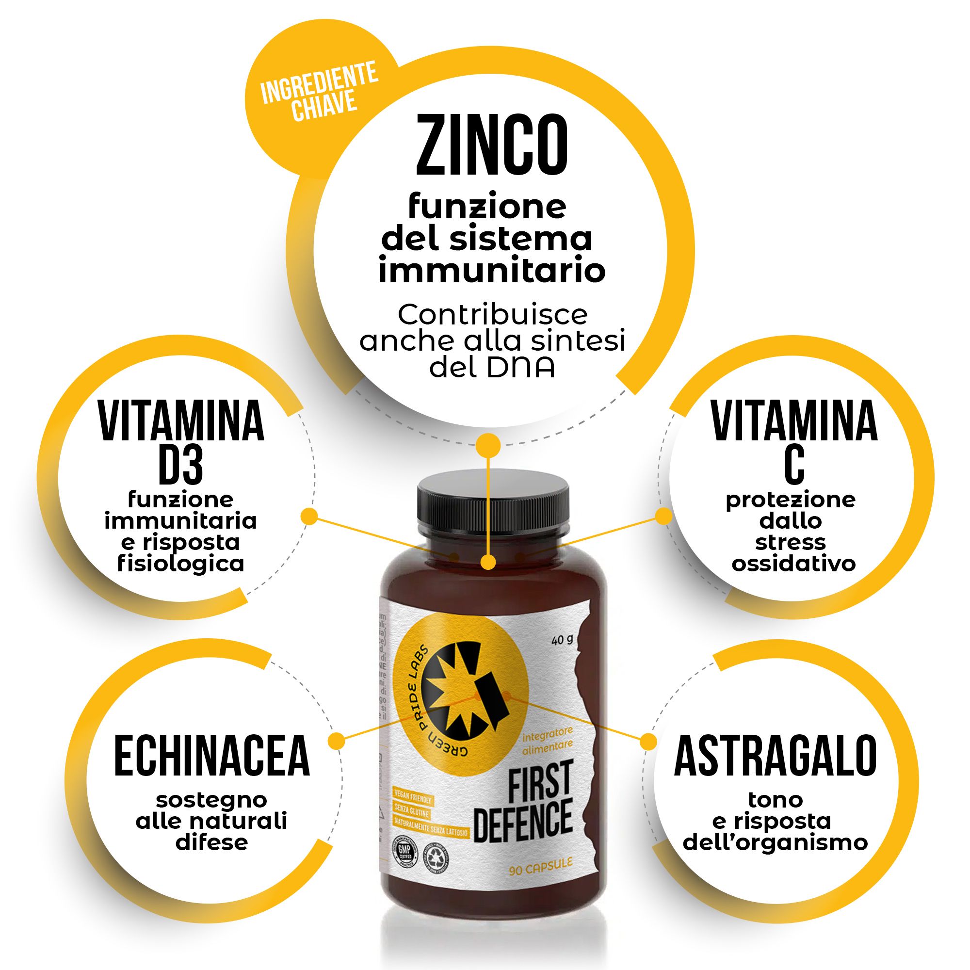 Produktflasche umgeben von Kreisen mit Informationen über Zink, Vitamin D3, Vitamin C, Echinacea und Astragalus.
