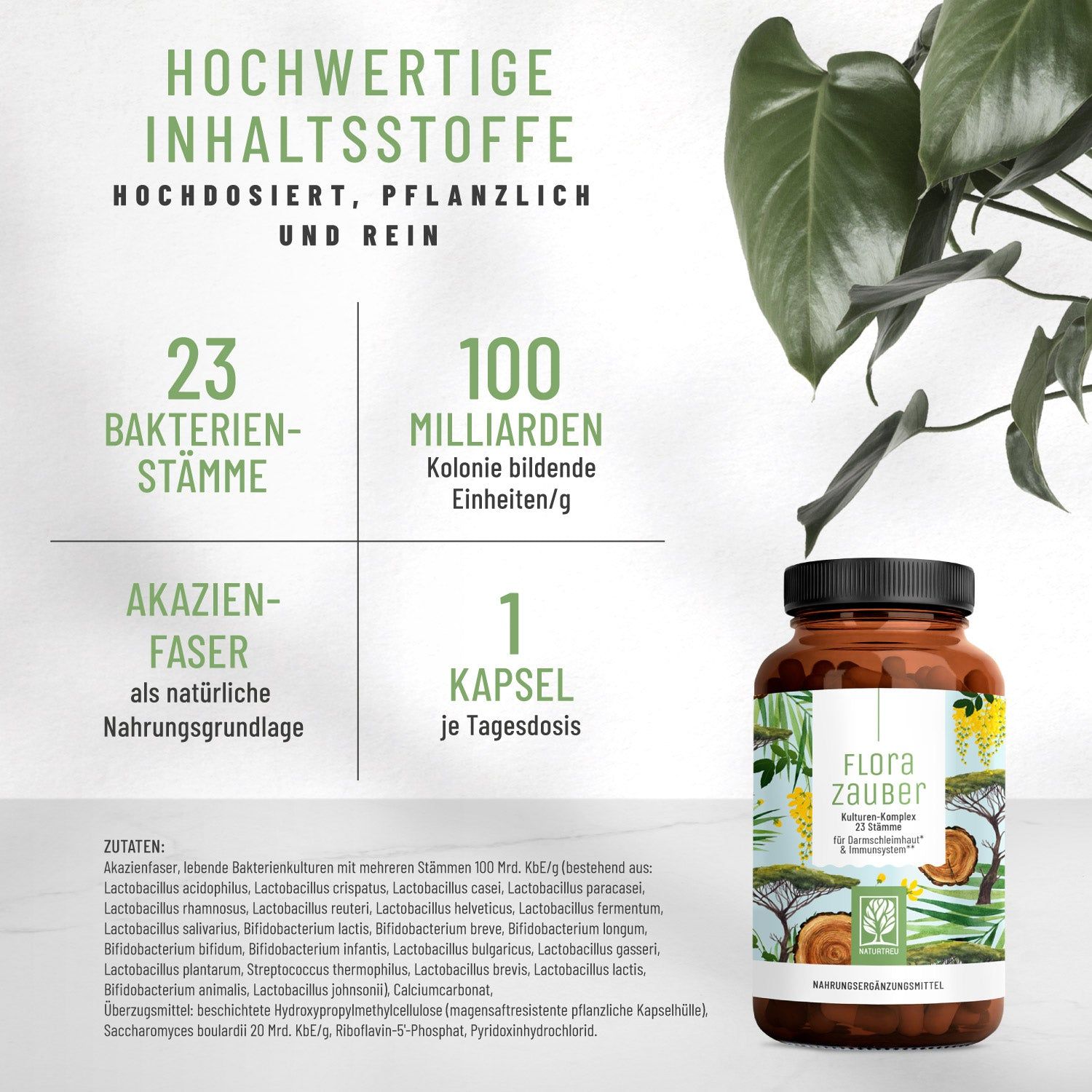 Probiergröße FLORAZAUBER Small: Kulturen Komplex für Darm 23 Bakterienstämme - 30 Kapseln NATURTREU®